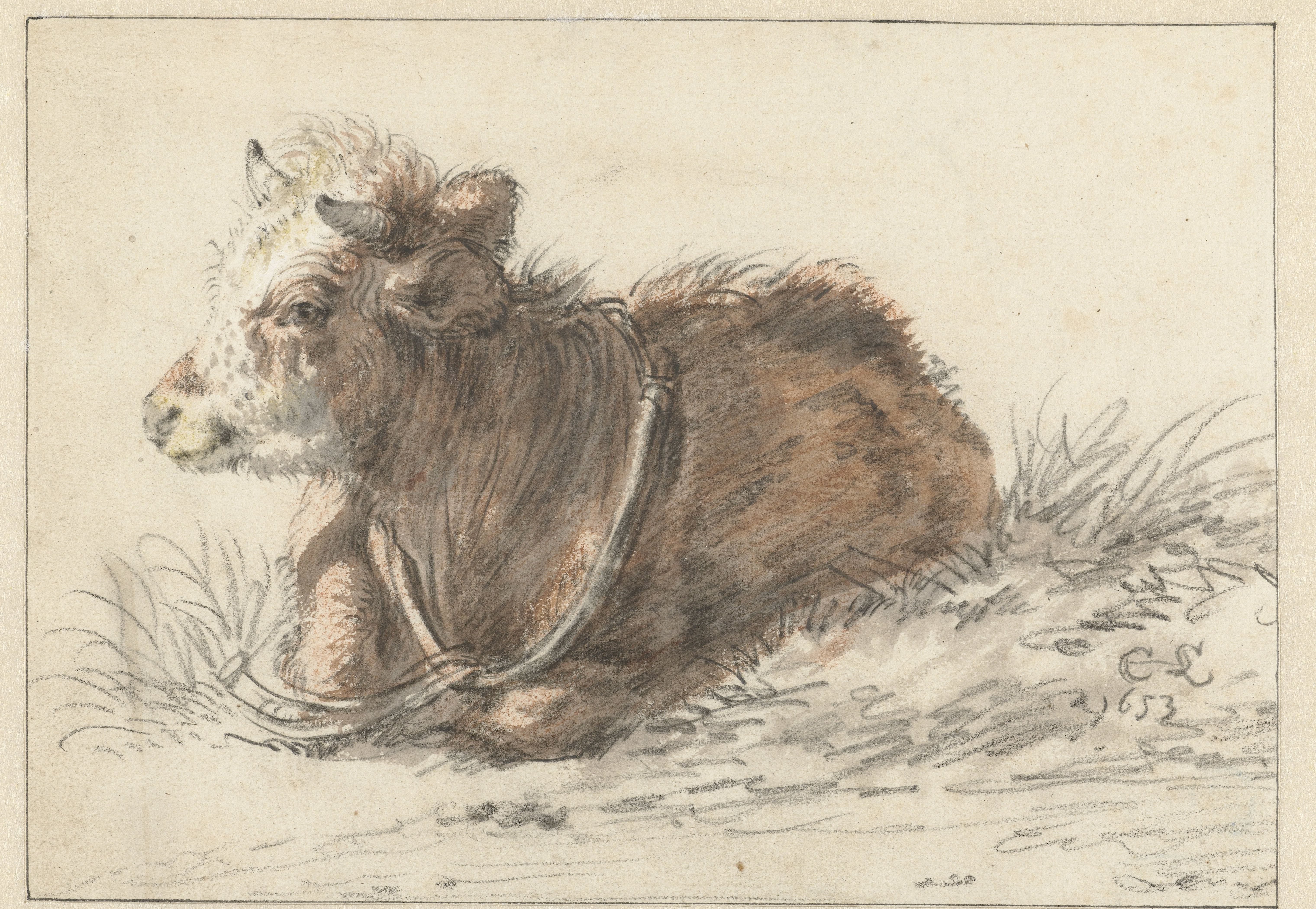 Reclining Calf, Turned to the Left