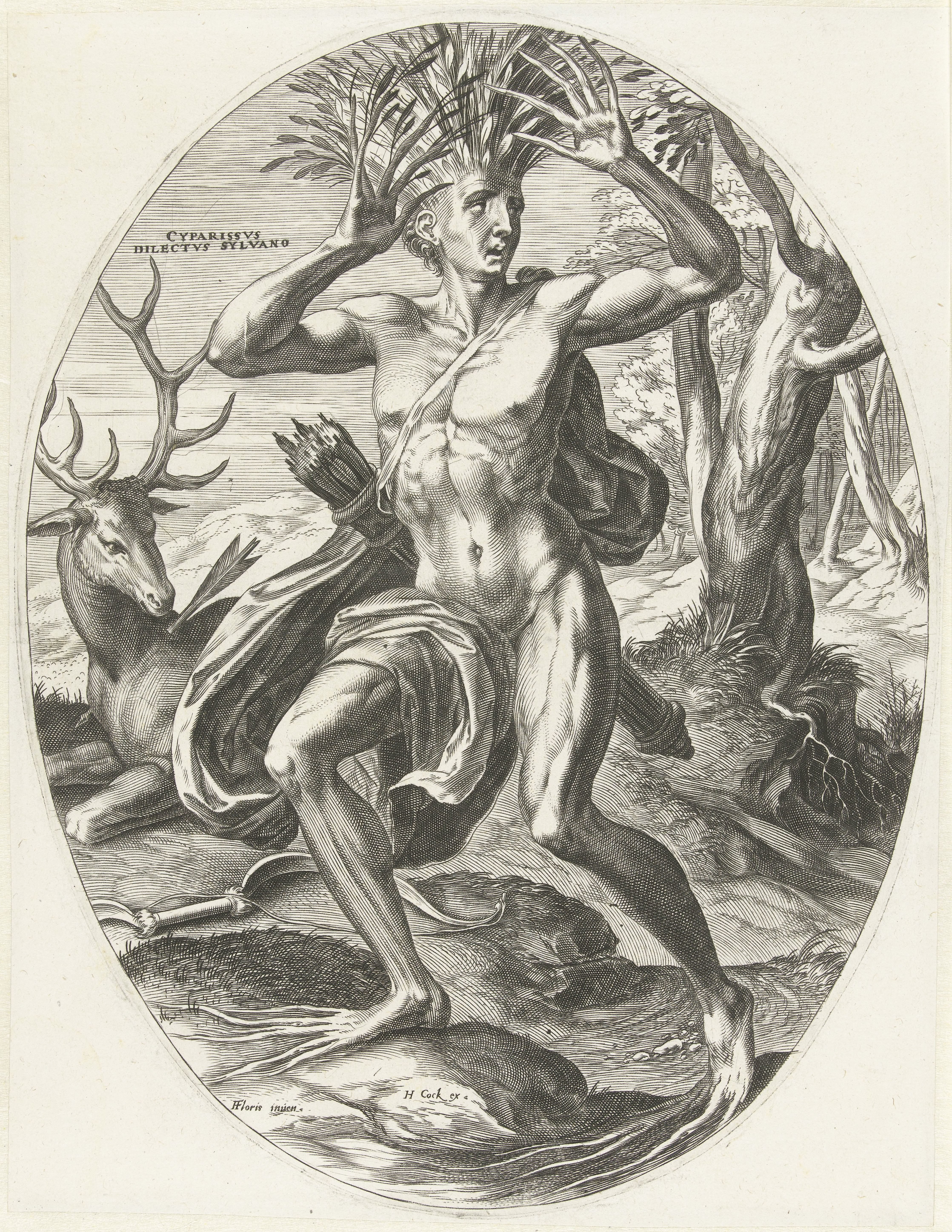 Cyparissus