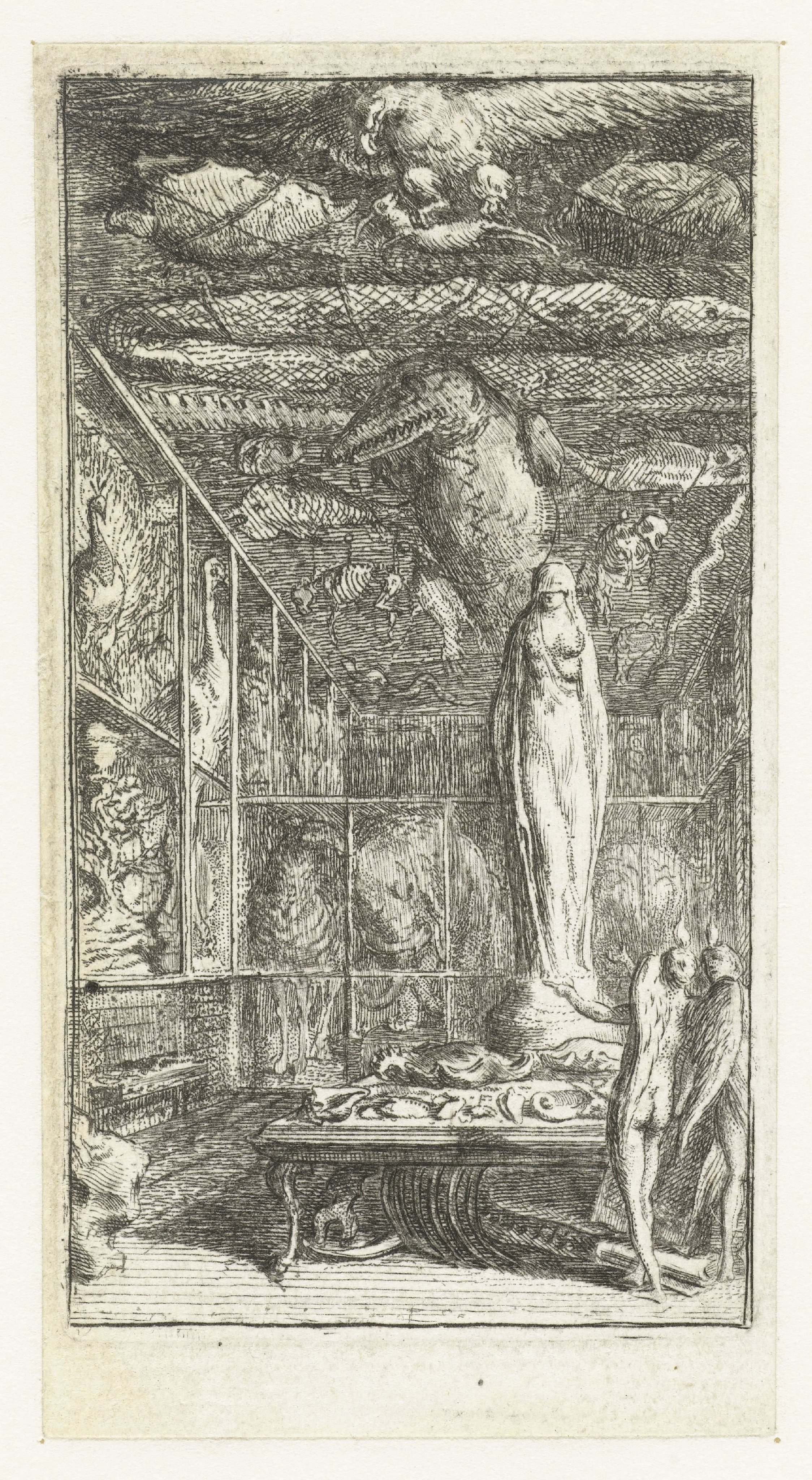 Natuurhistorisch kabinet