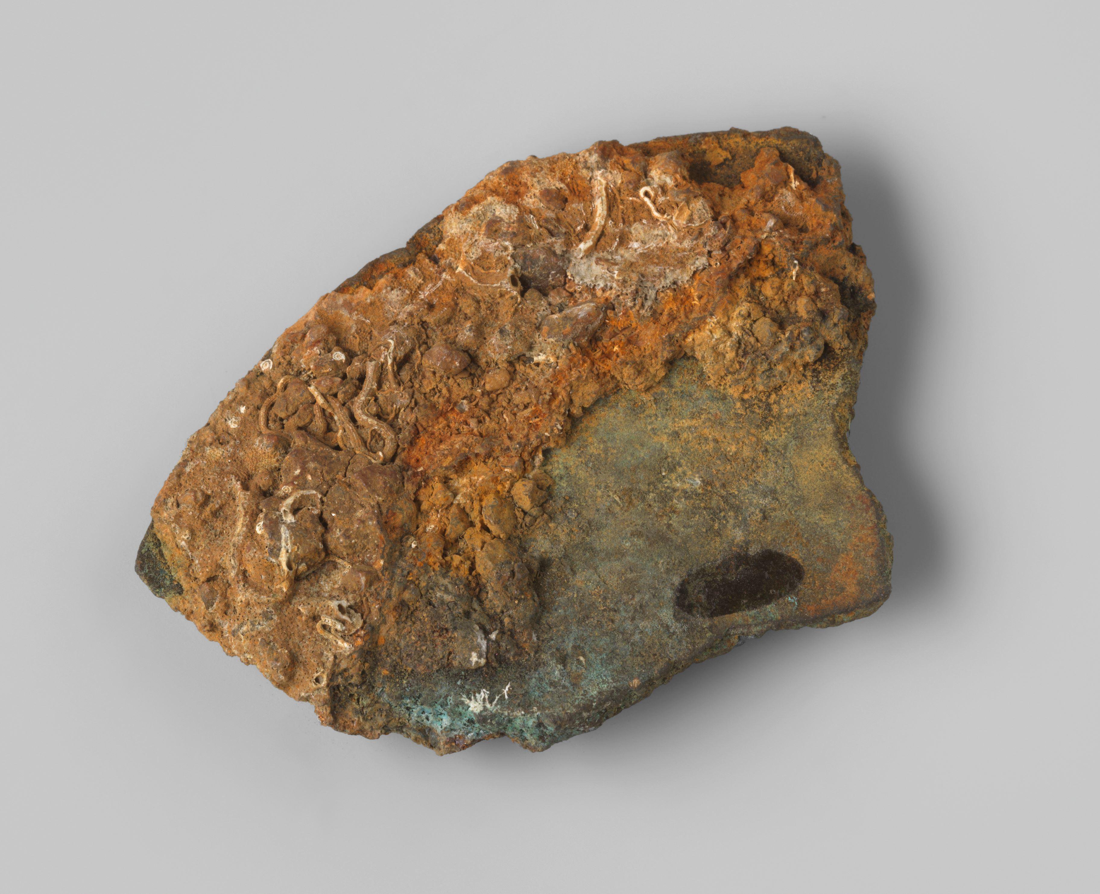 Fragment vetvanger uit het wrak van de Oost-Indiëvaarder Hollandia