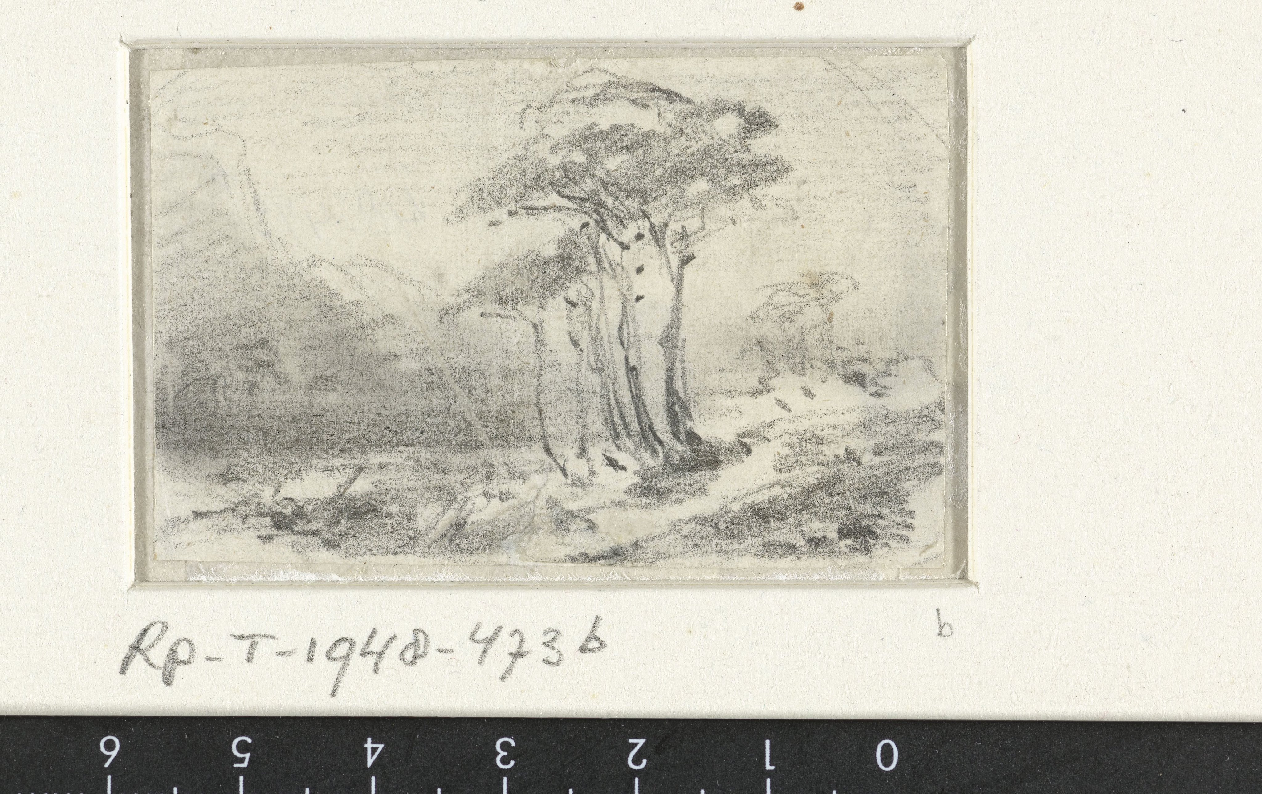 Landschap met bomengroep