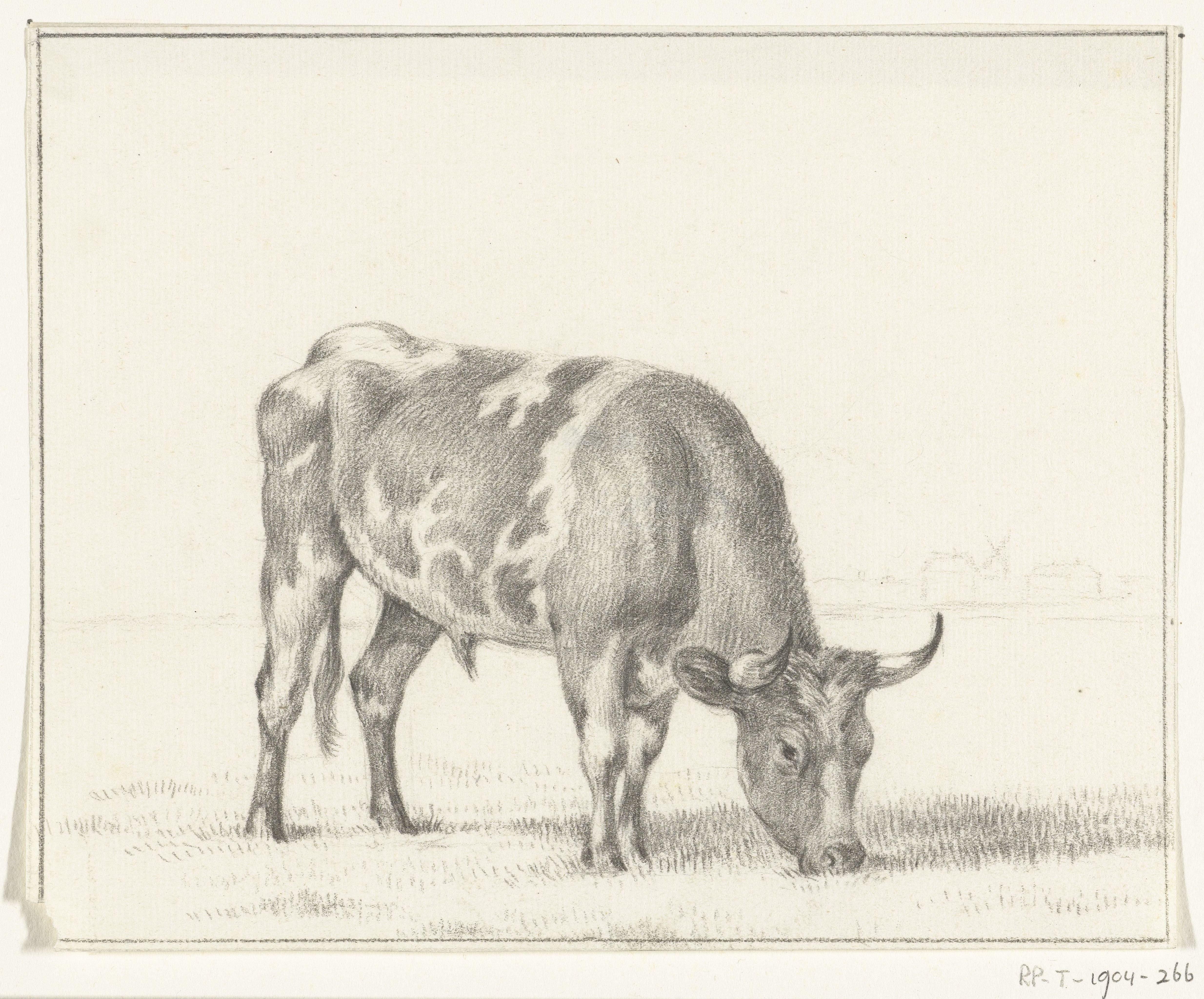 Grazende stier, naar rechts