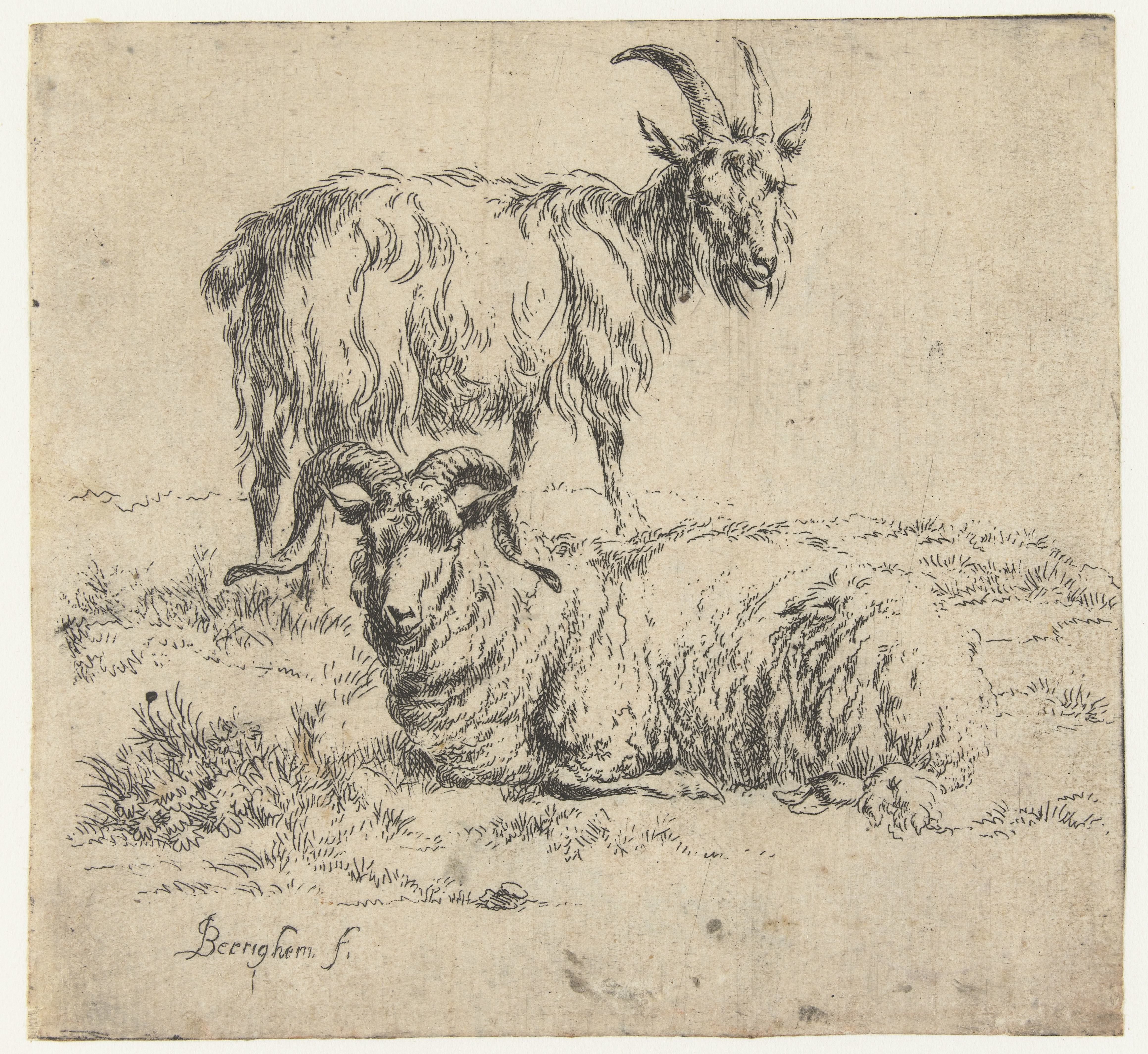 Ram en geit