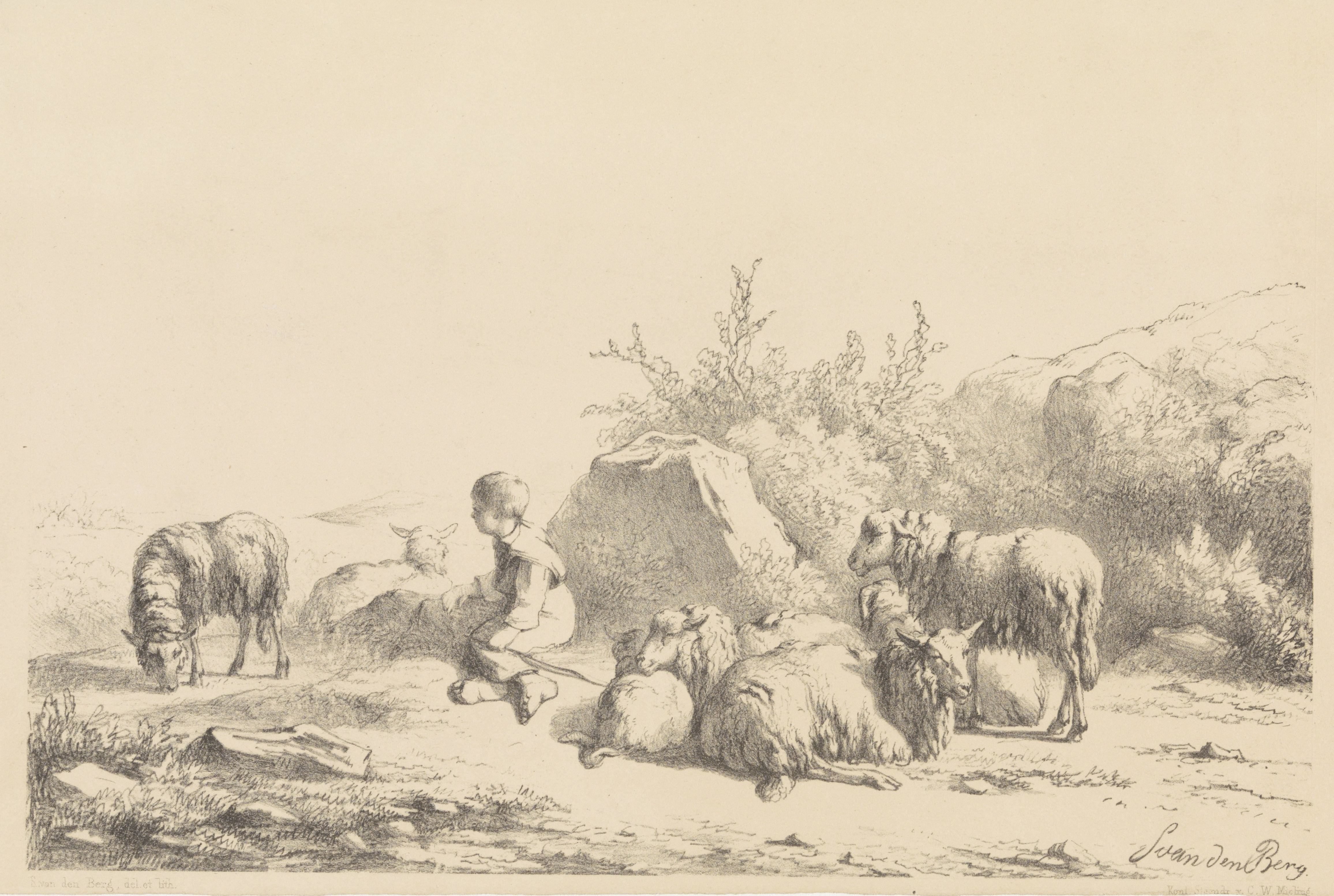Herder en schapen