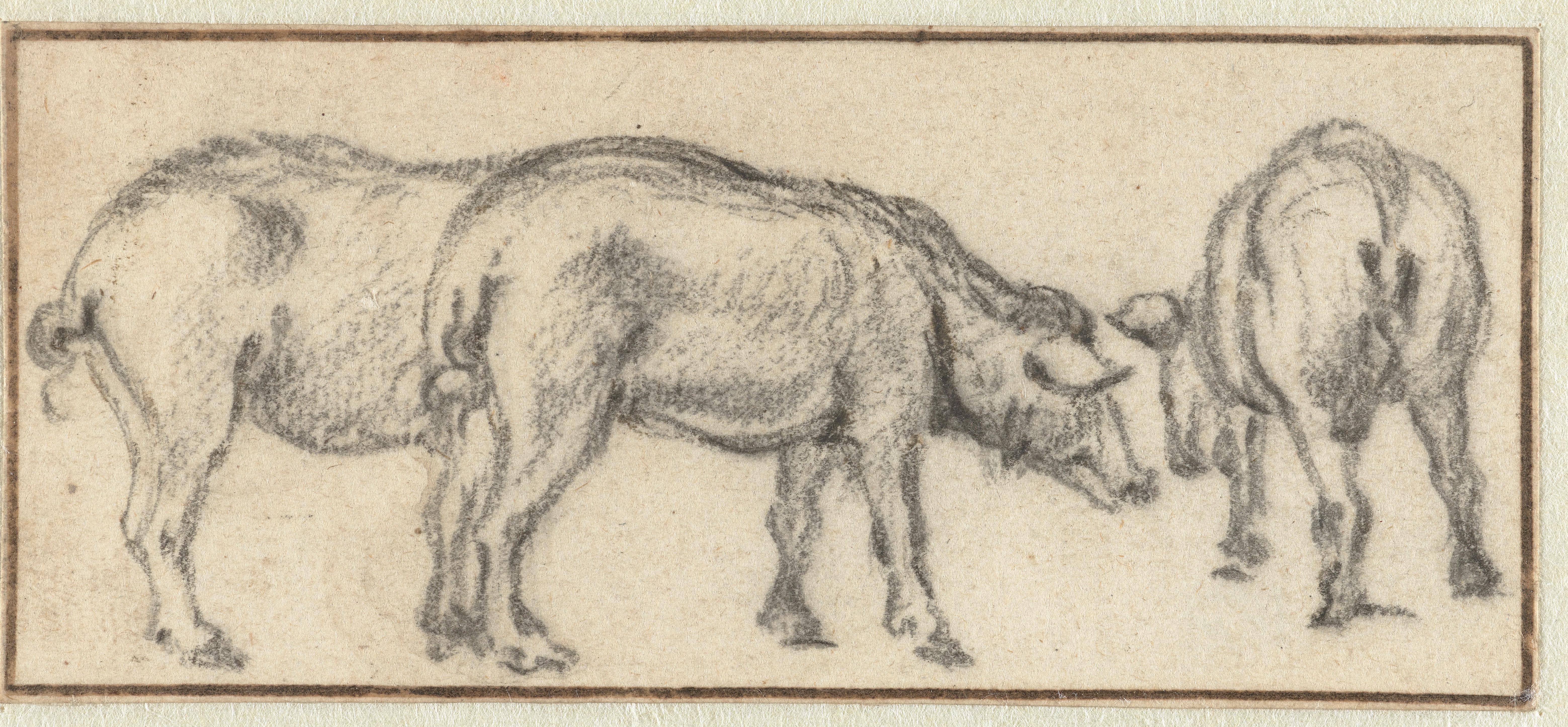 Drie varkens