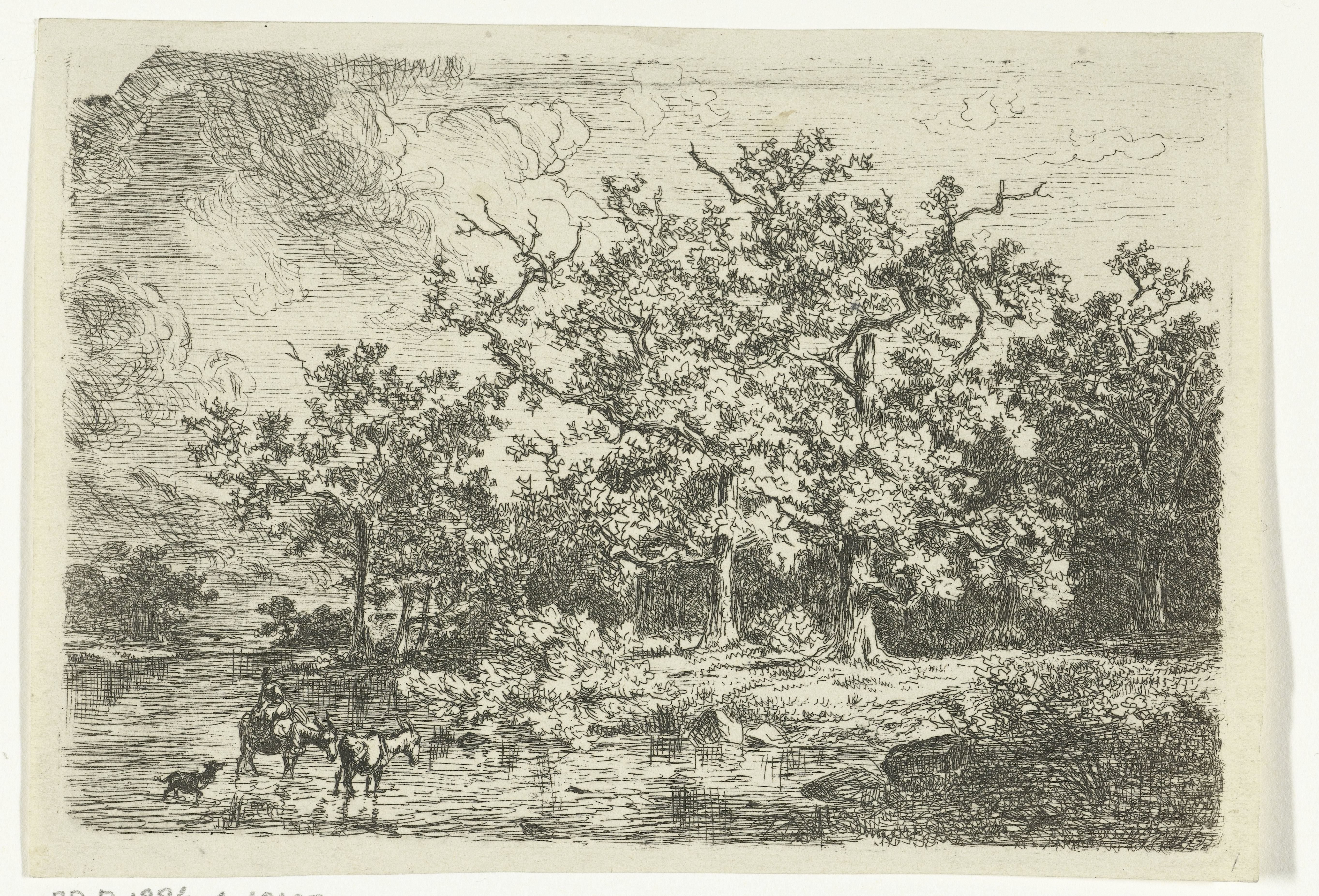 Landschap met bomen en vrouw op ezel in ondiep water