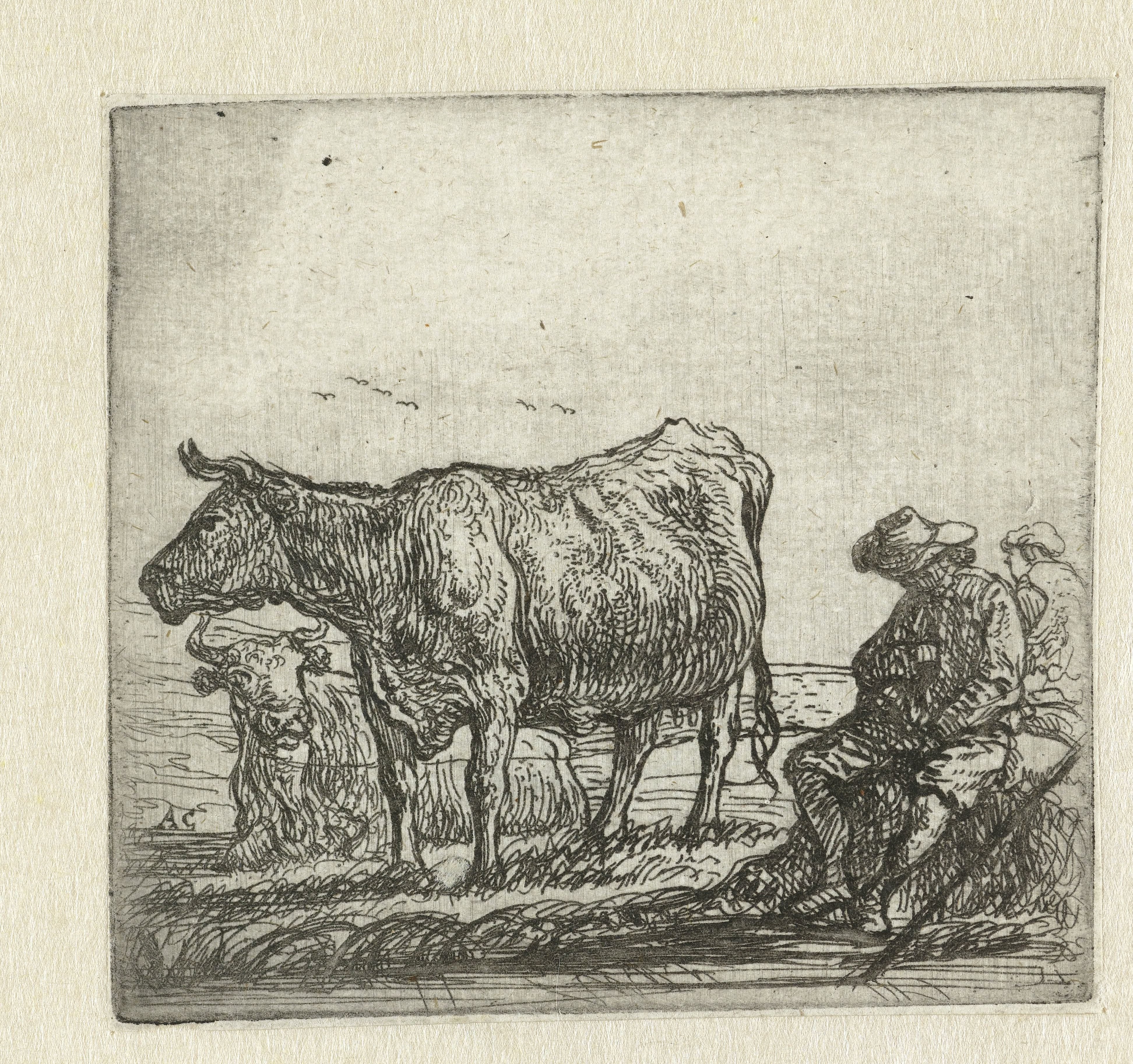 Twee koeien en herders