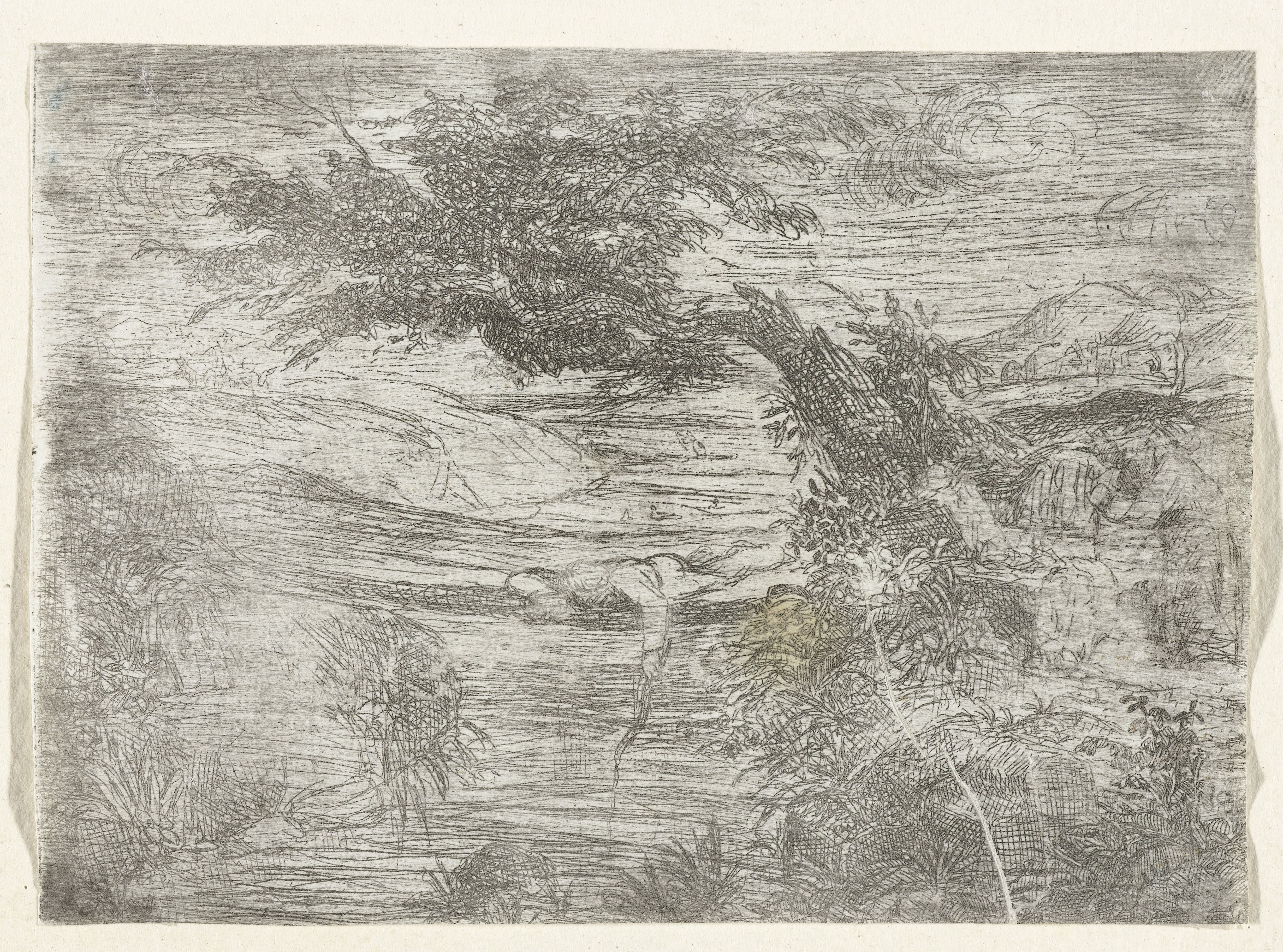 Landschap met visser