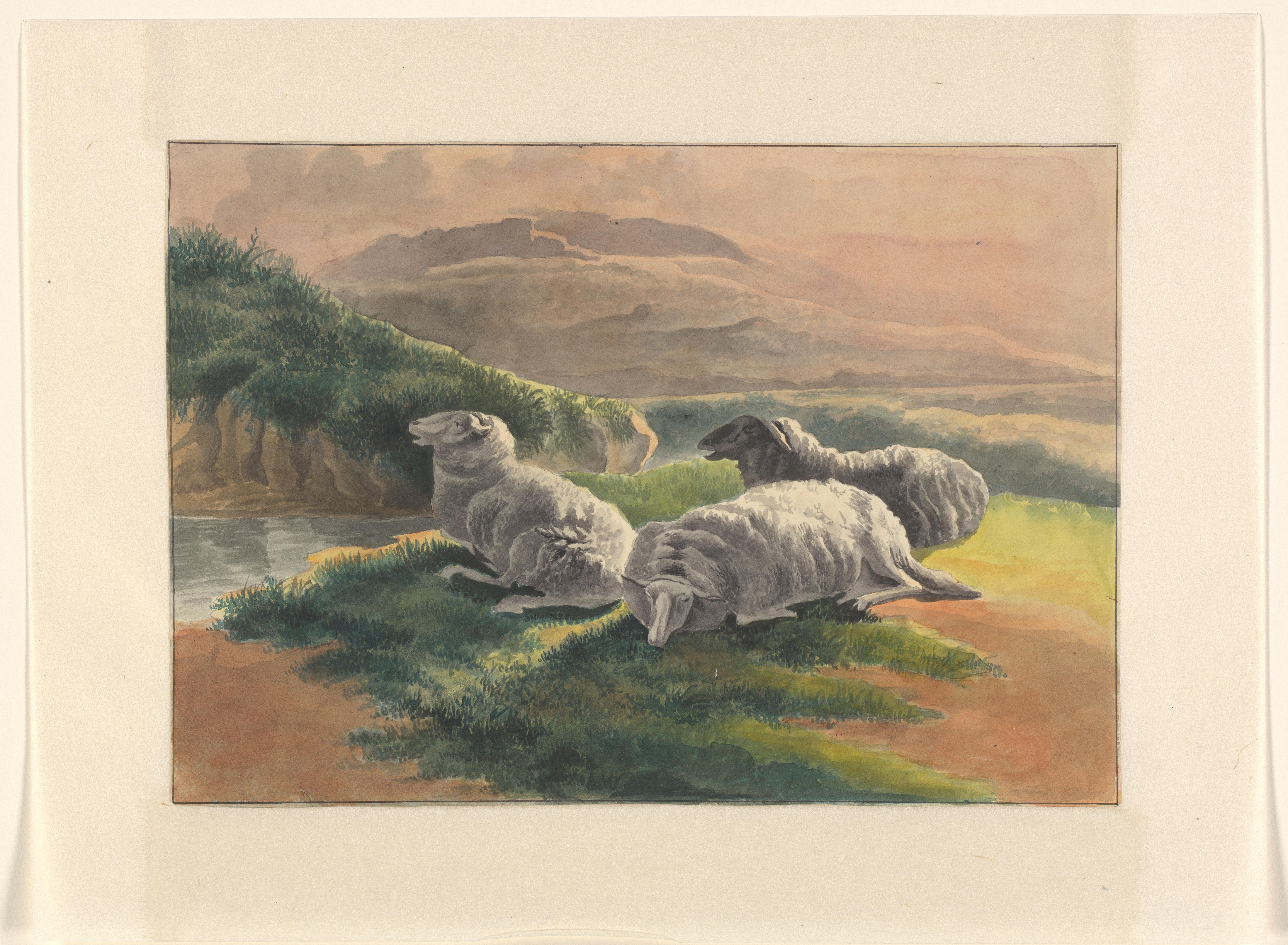 Drie schapen in een landschap bij zonsondergang