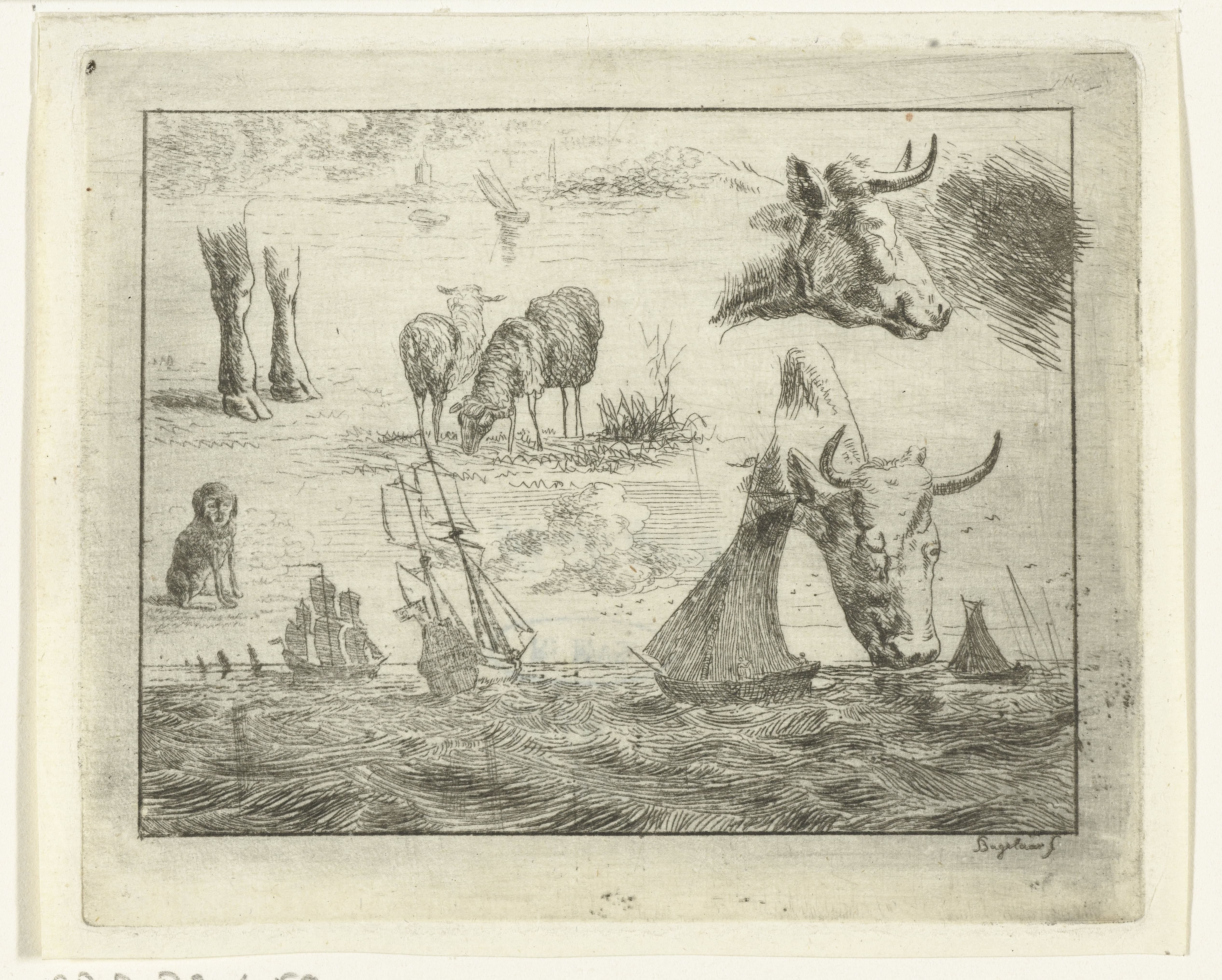 Studieblad met een zeegezicht, twee koeienkoppen, schapen, een hond en twee poten