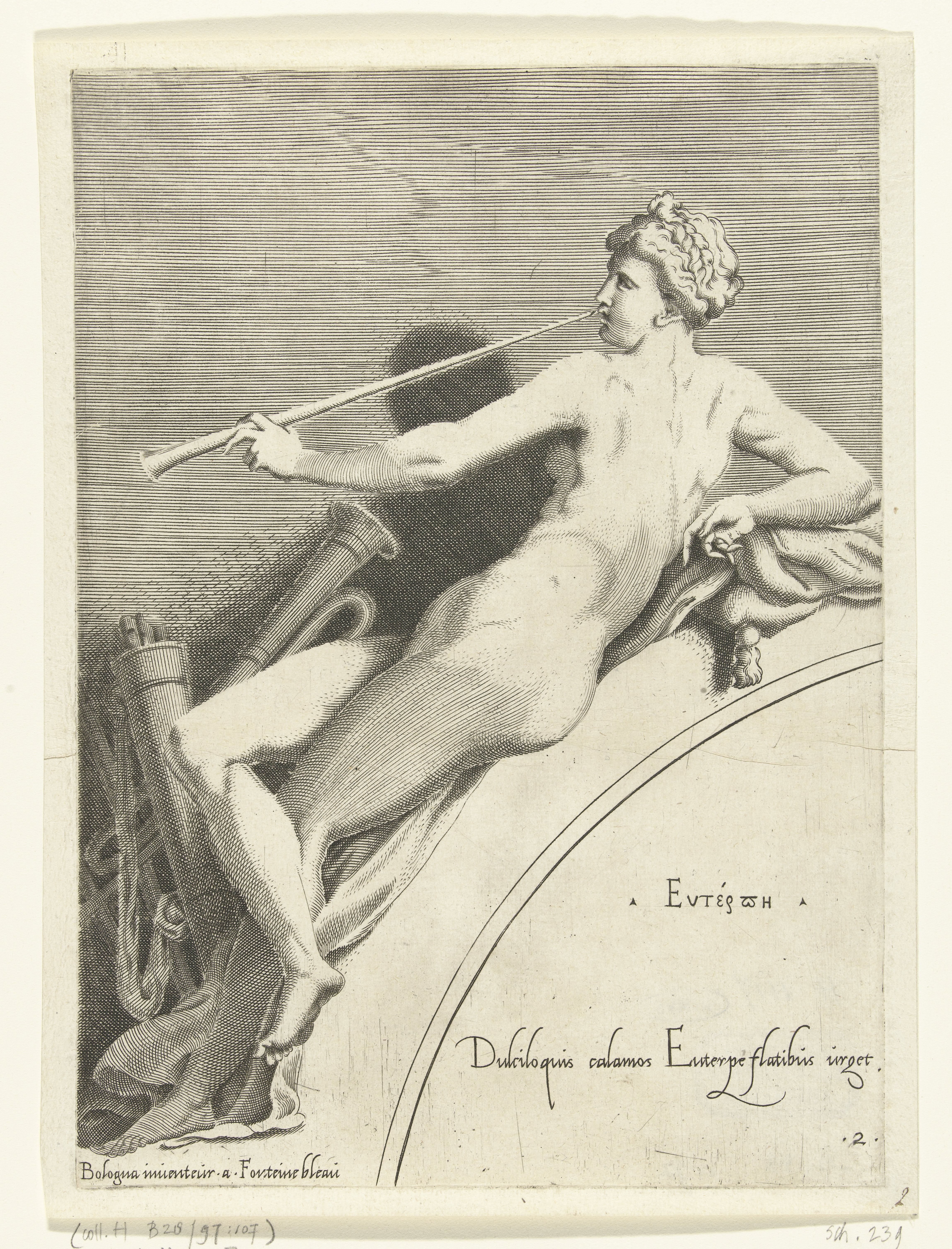 Euterpe
