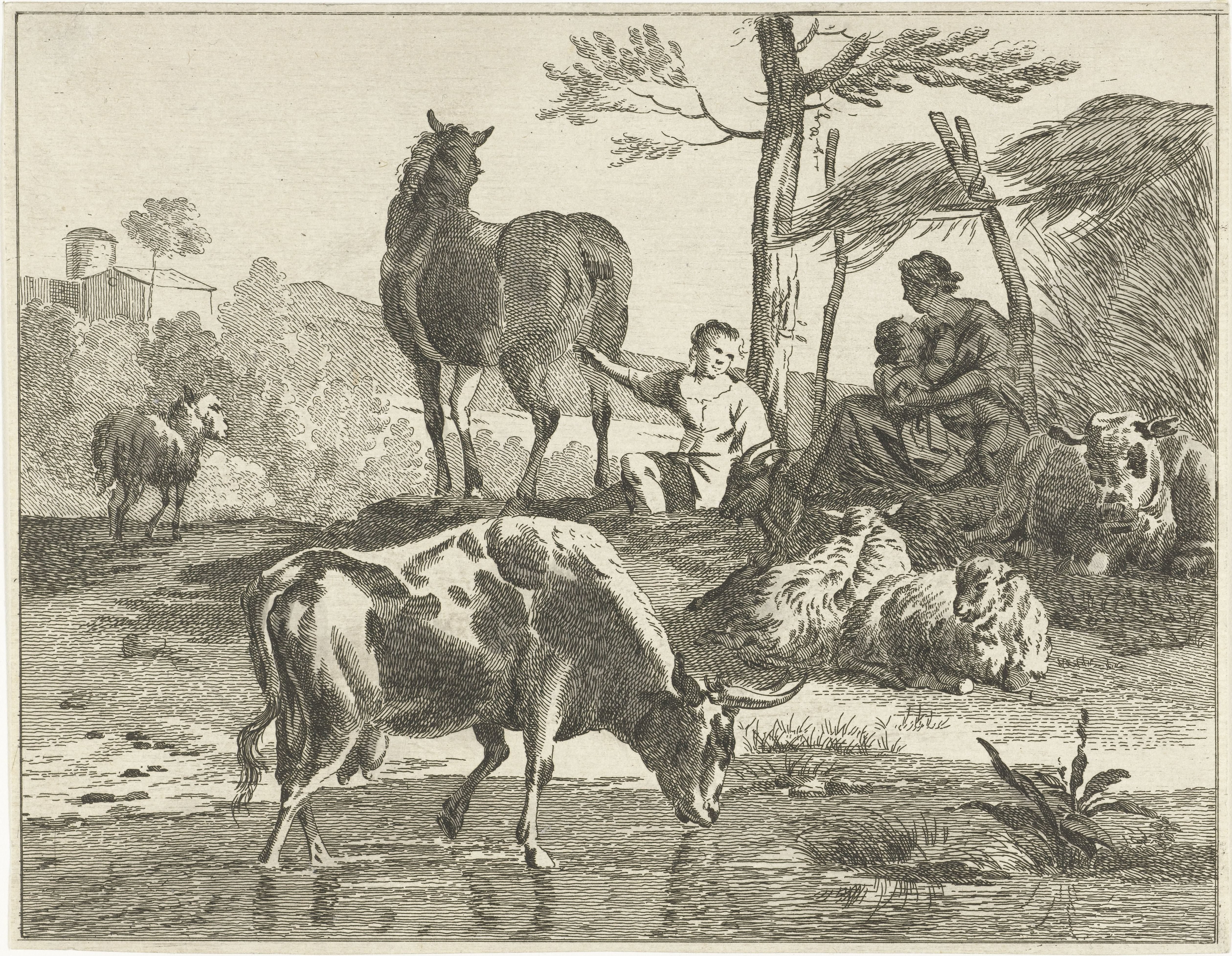 Kudde vee in heuvelachtig landschap