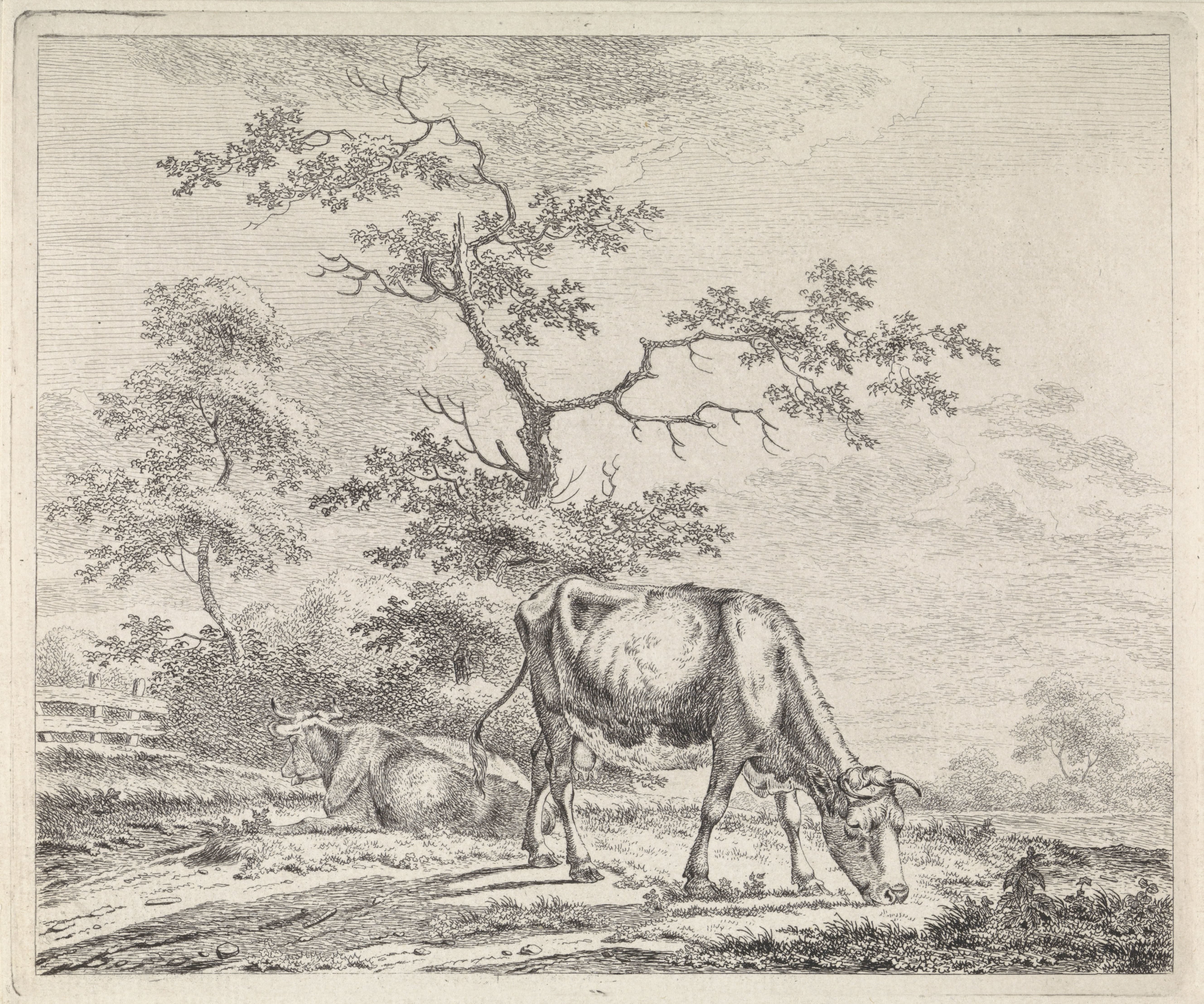 Landschap met grazende koe