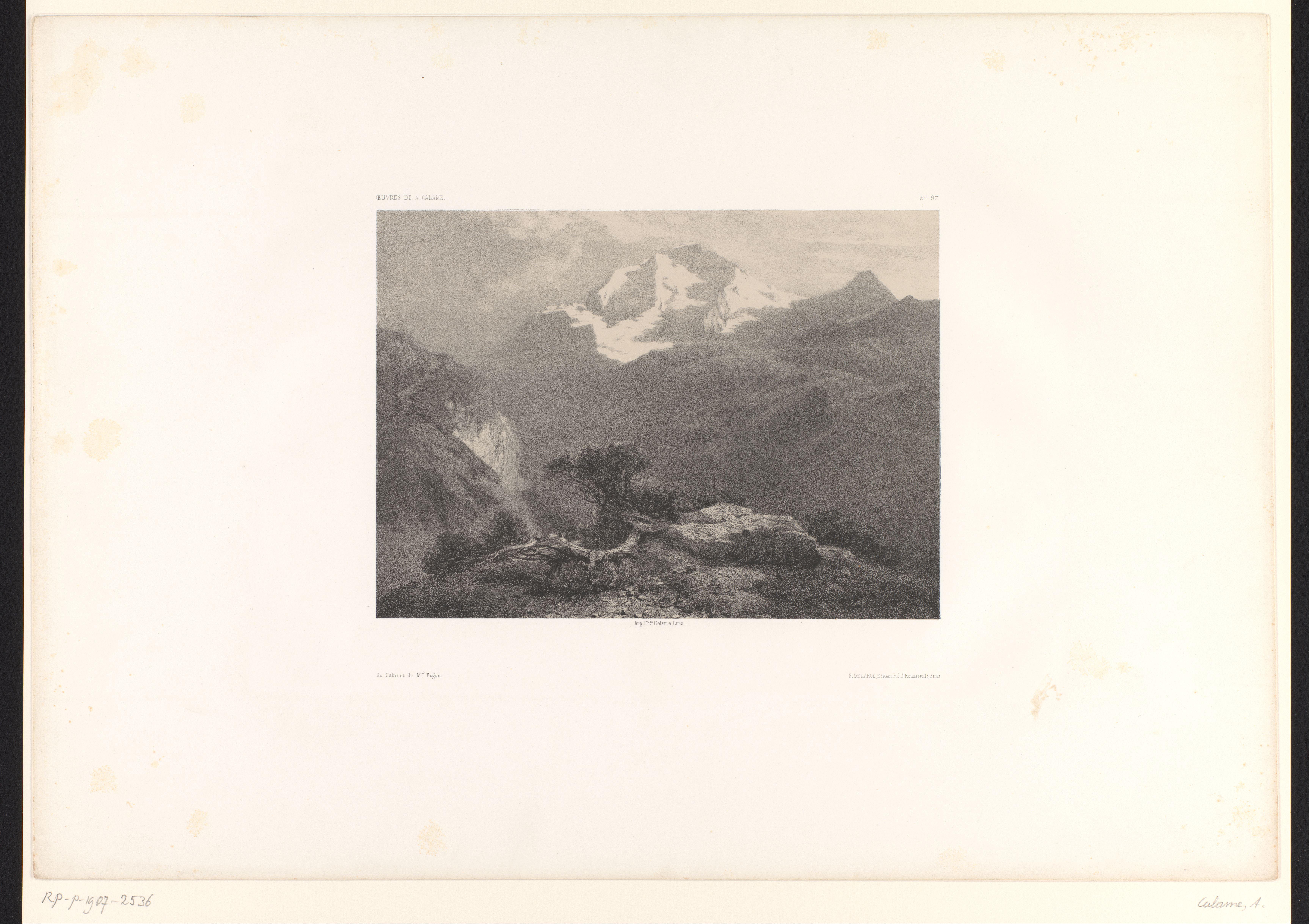 Berglandschap met struiken en afgrond