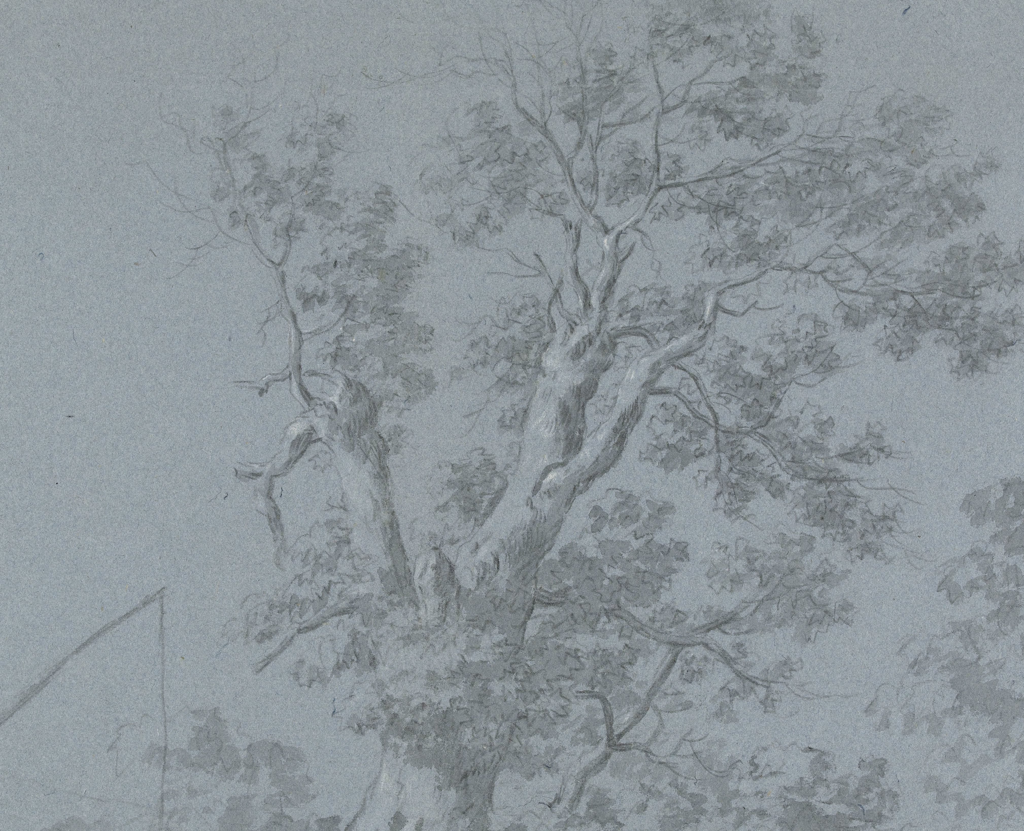 Study of a Well under Trees in a Walled Garden