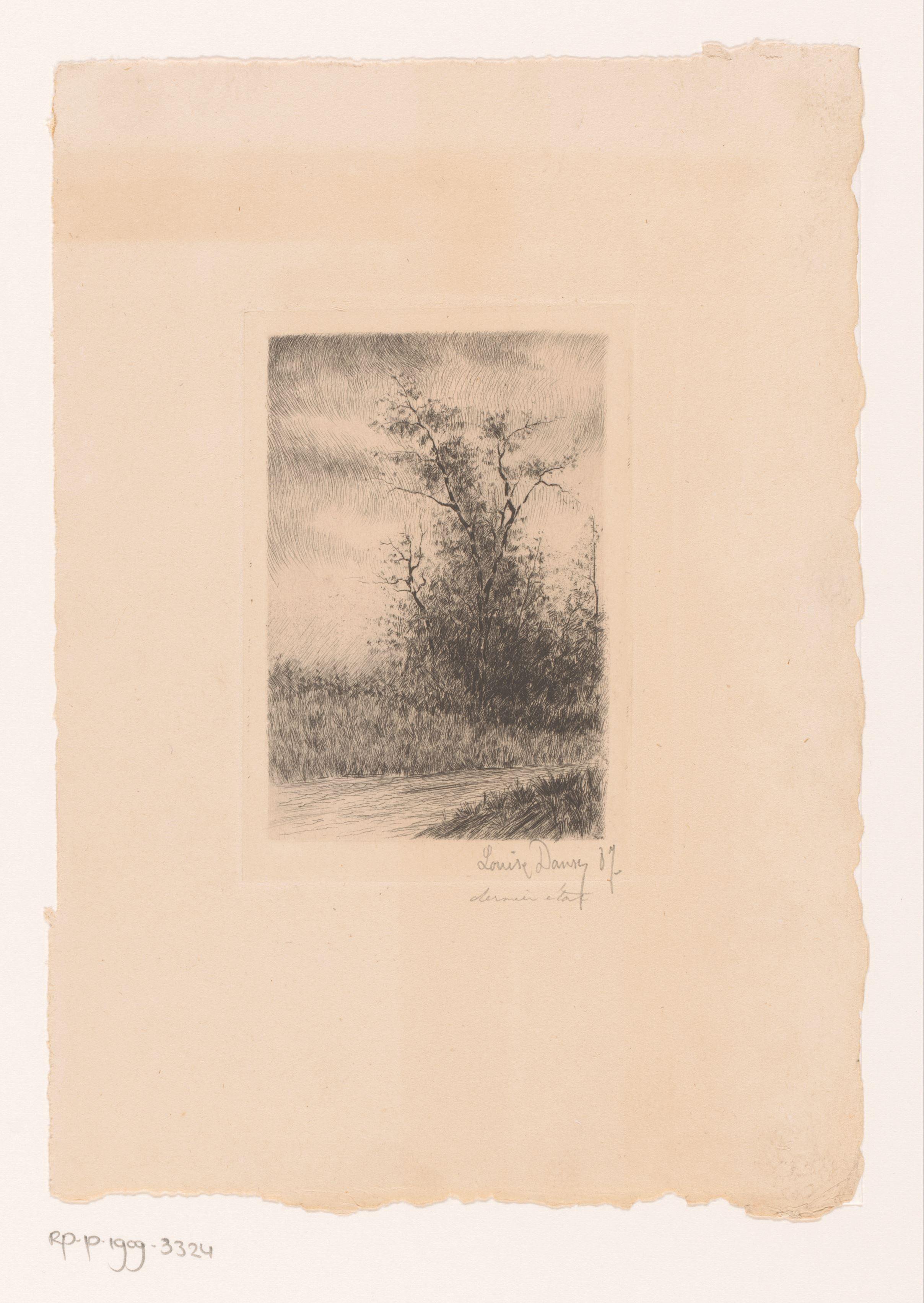 Landschap met een boom aan de waterkant