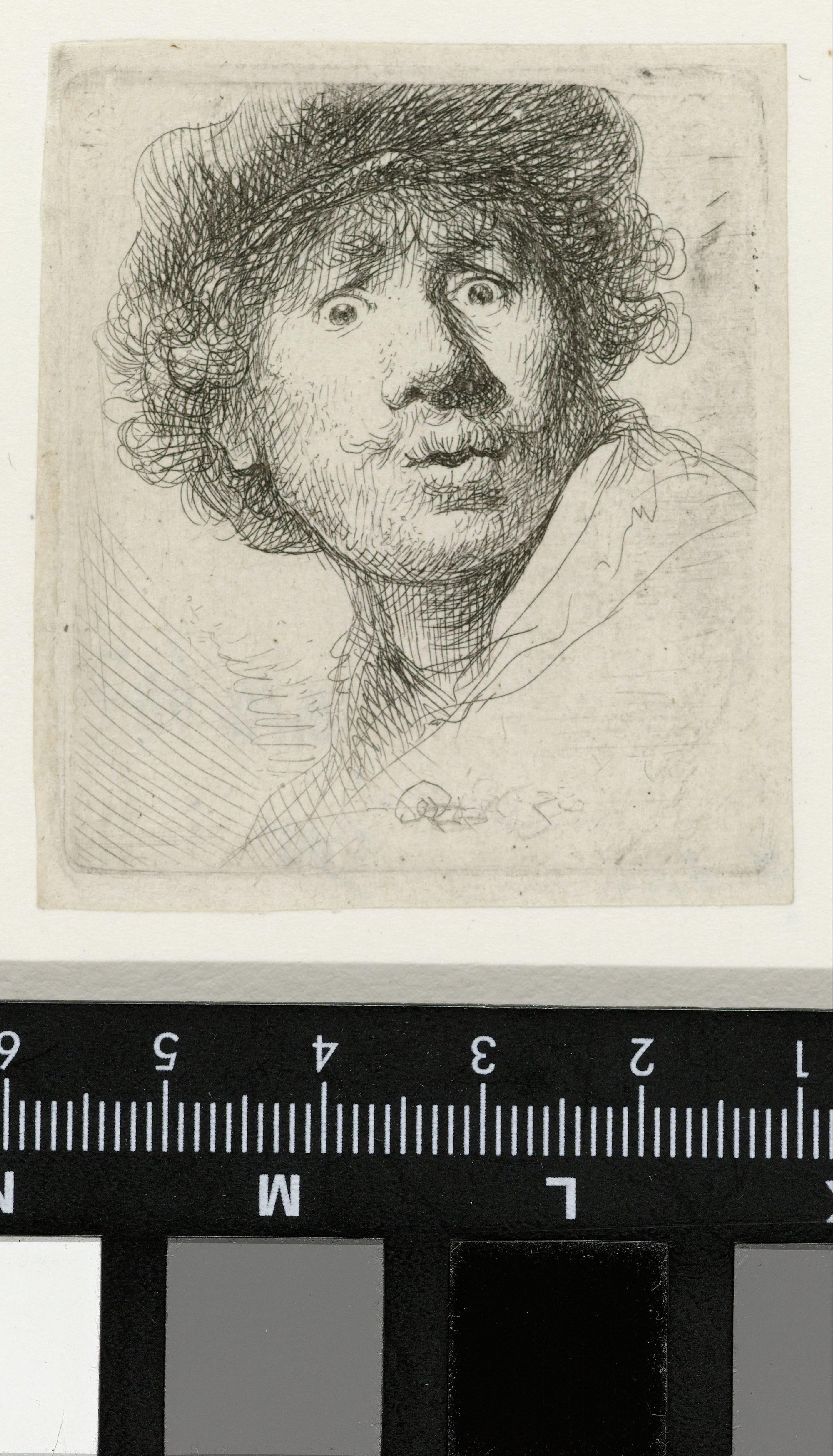 Self-portrait in a Cap, Wide-eyed and Open-mouthed