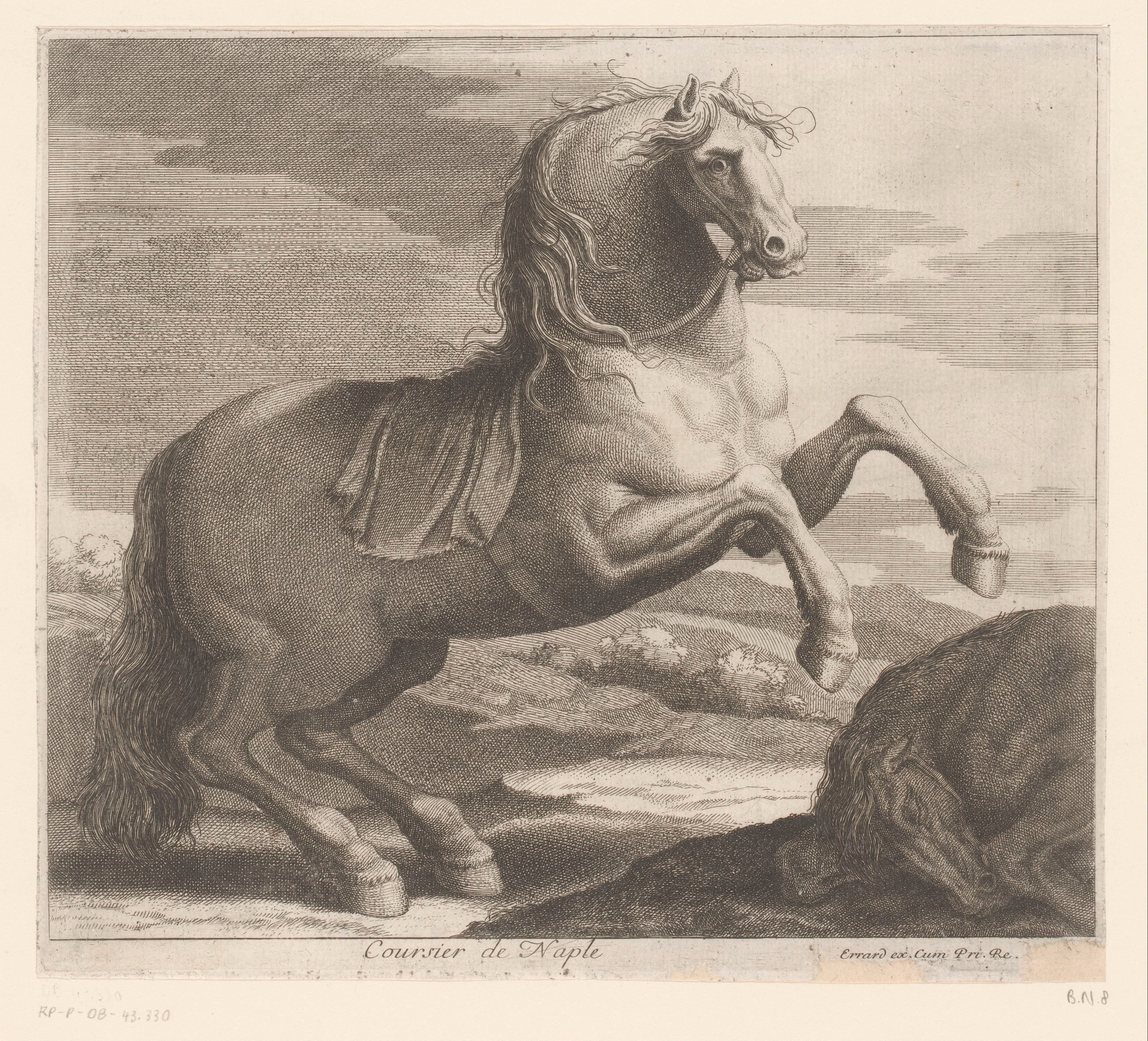 Steigerend paard