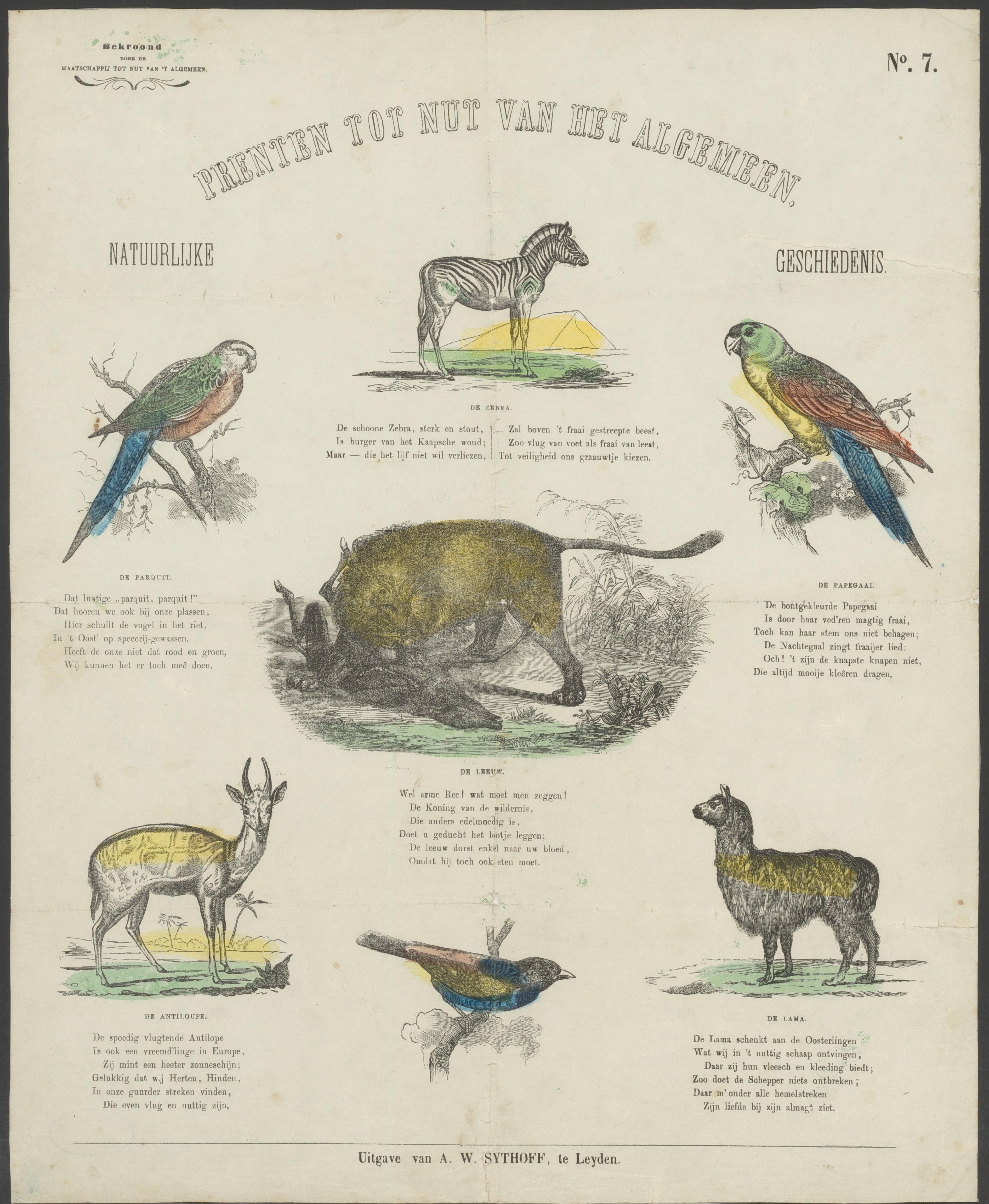 Vogels en zoogdieren