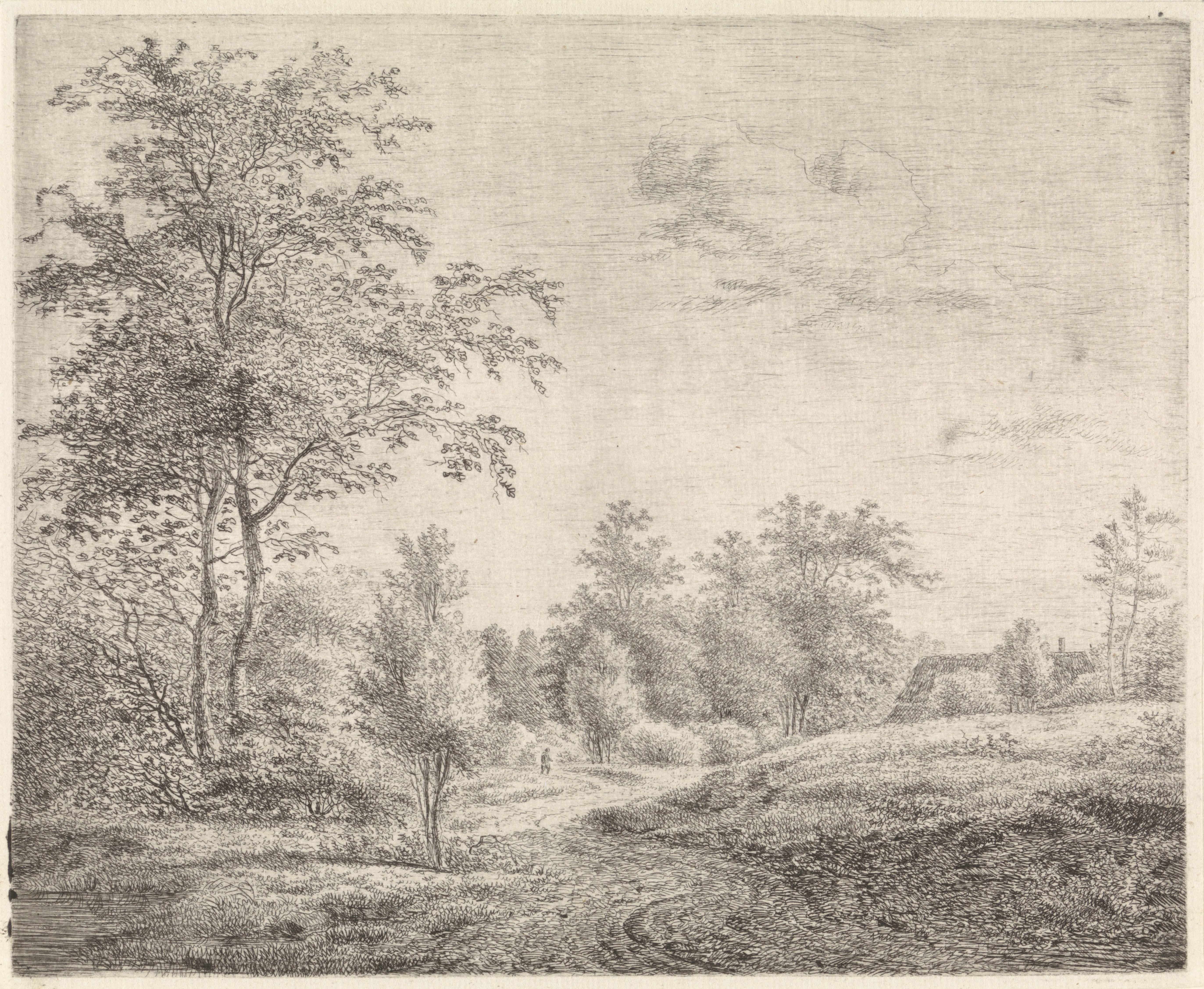 Bosrijk landschap met kronkelende weg