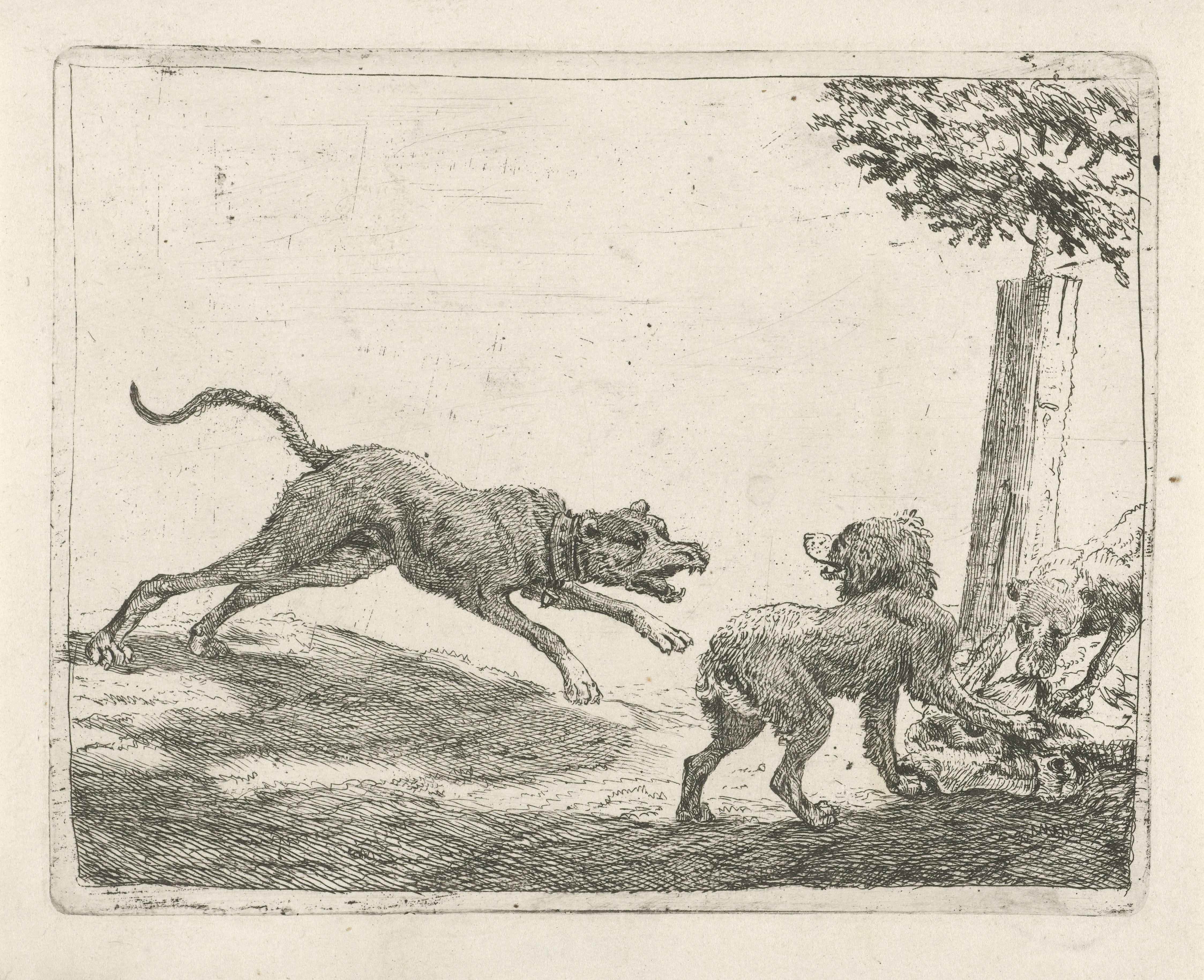 Drie honden bij een karkas