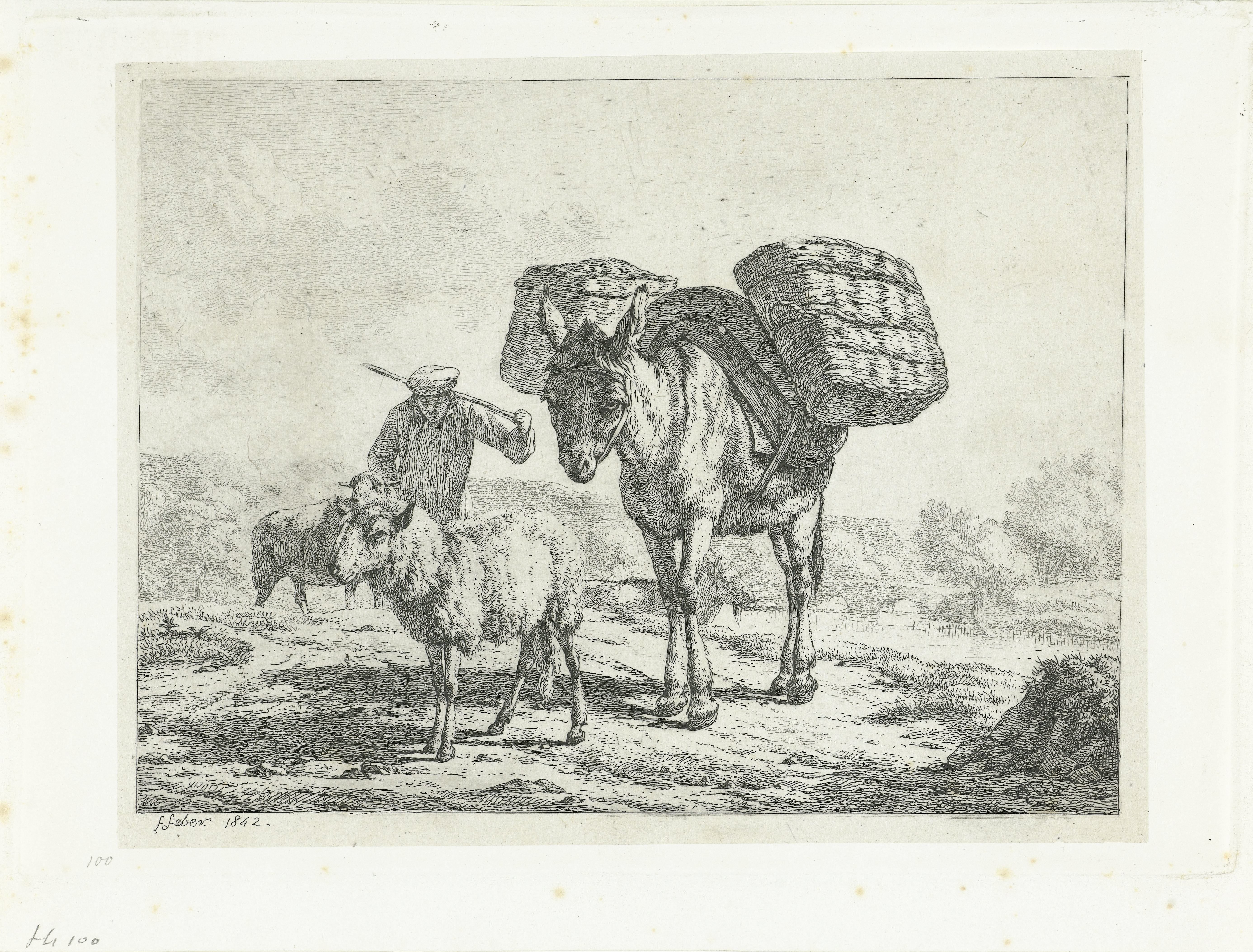 Man met twee schapen en een bepakte ezel