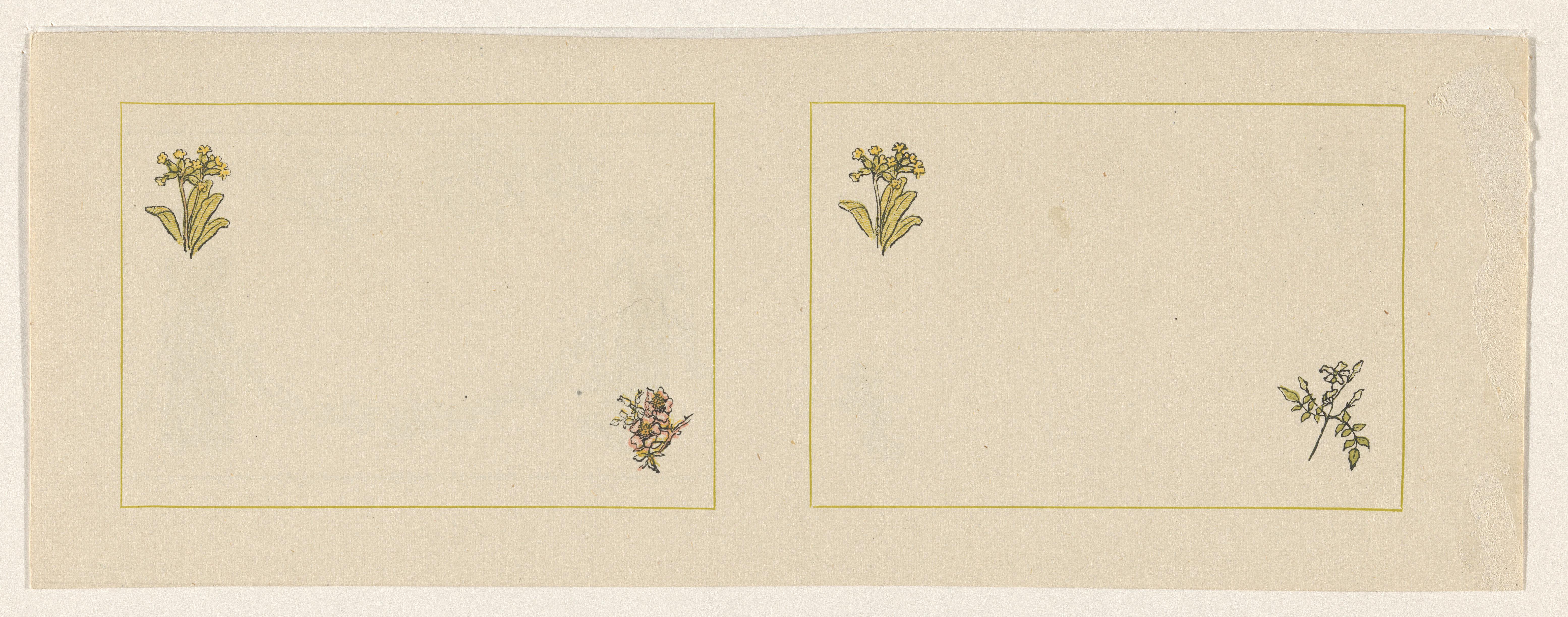 Vier bloemen