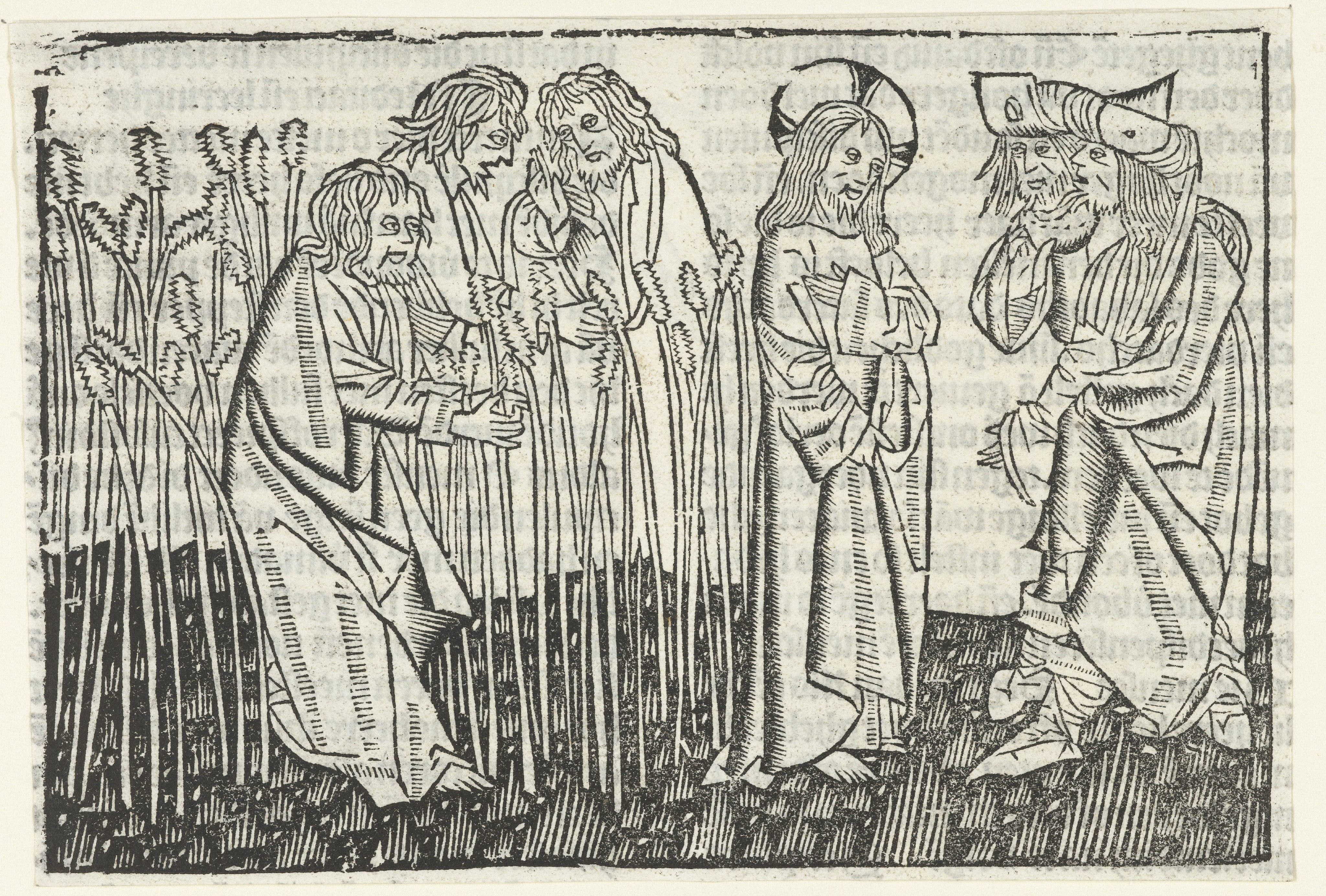 De discipelen plukken en eten aren op de sabbat