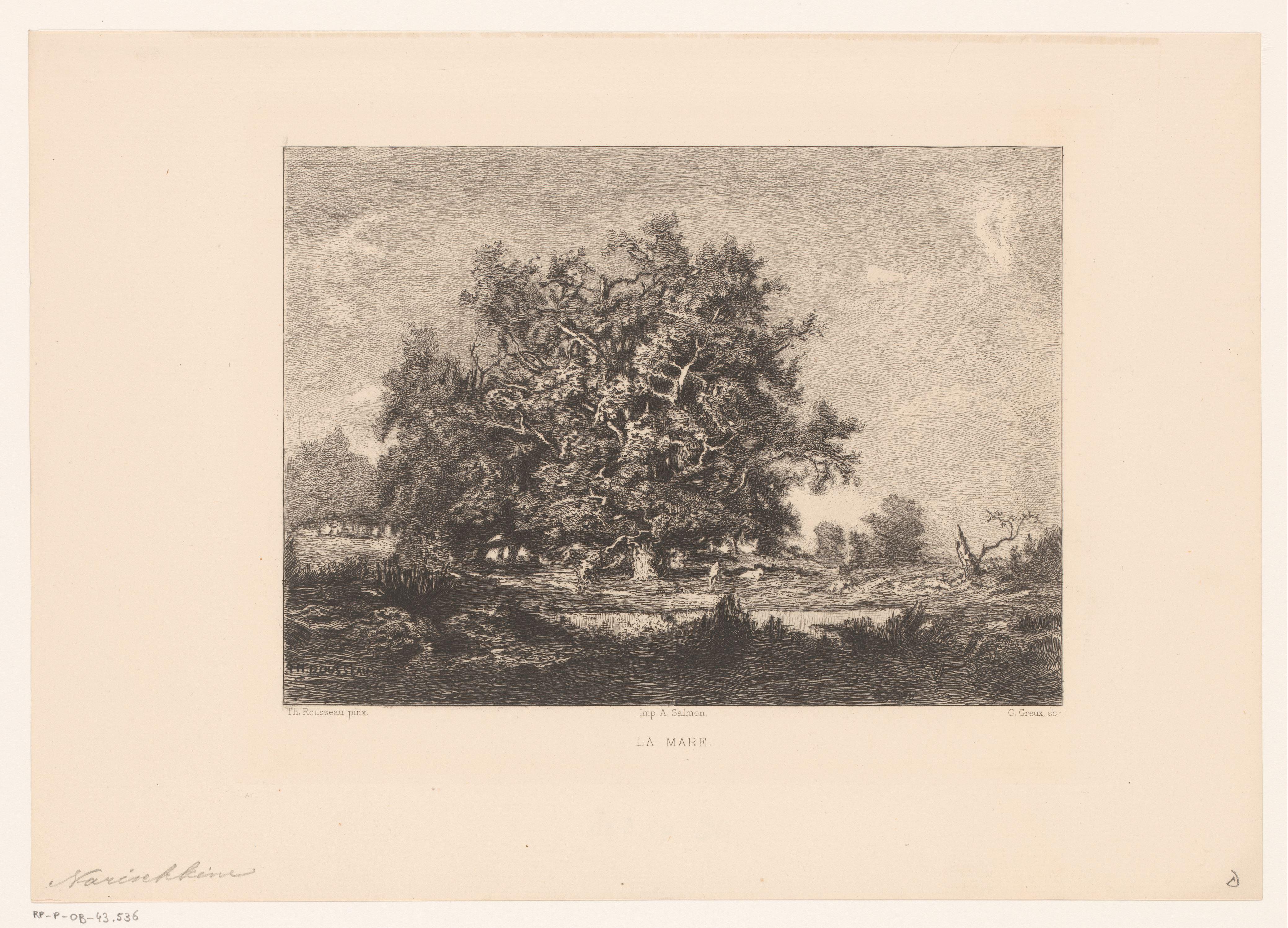 Gezicht op een boom in een heidelandschap