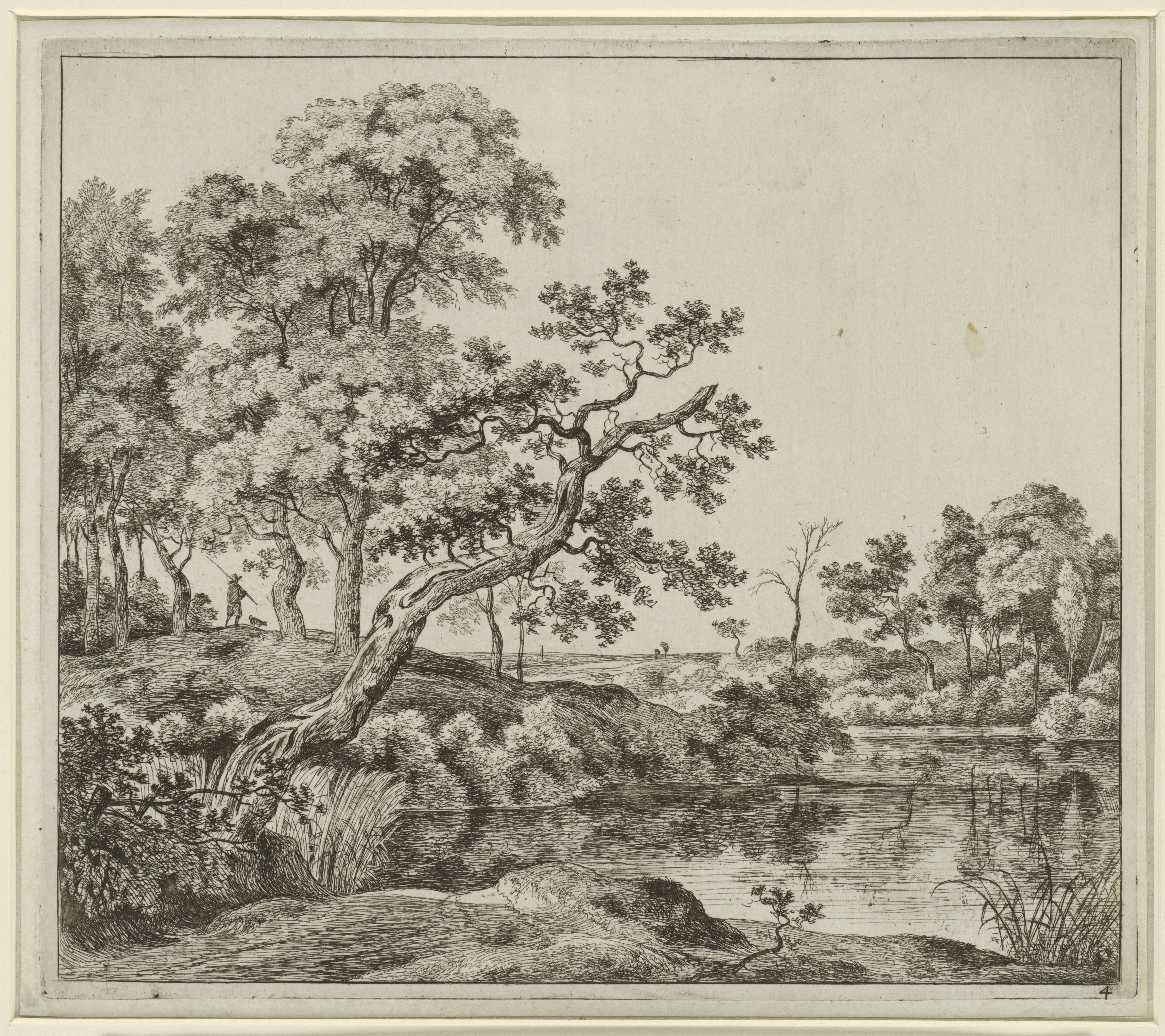 Landschap met een hangende boom aan het water