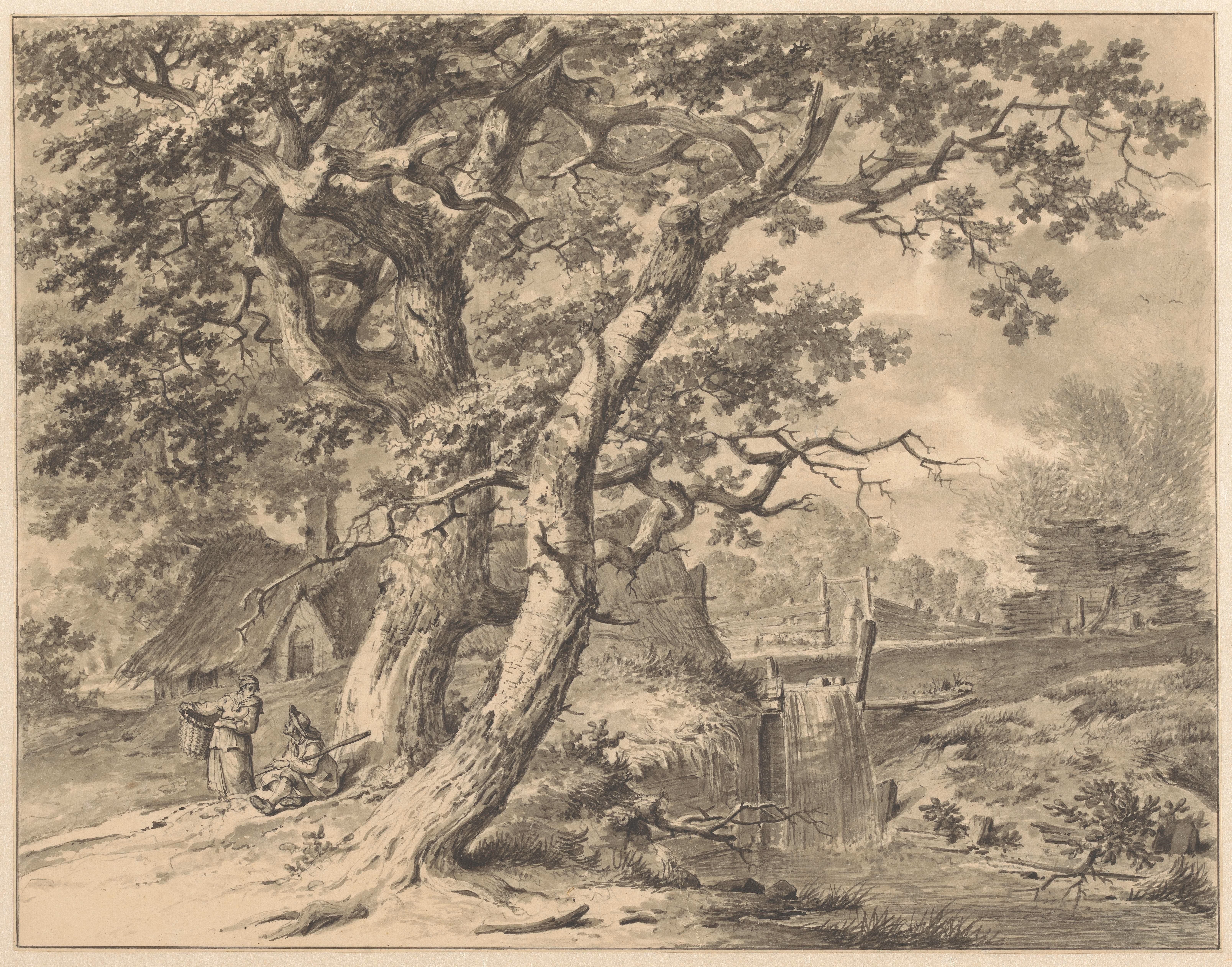 Landschap met watervalletje onder twee grote bomen