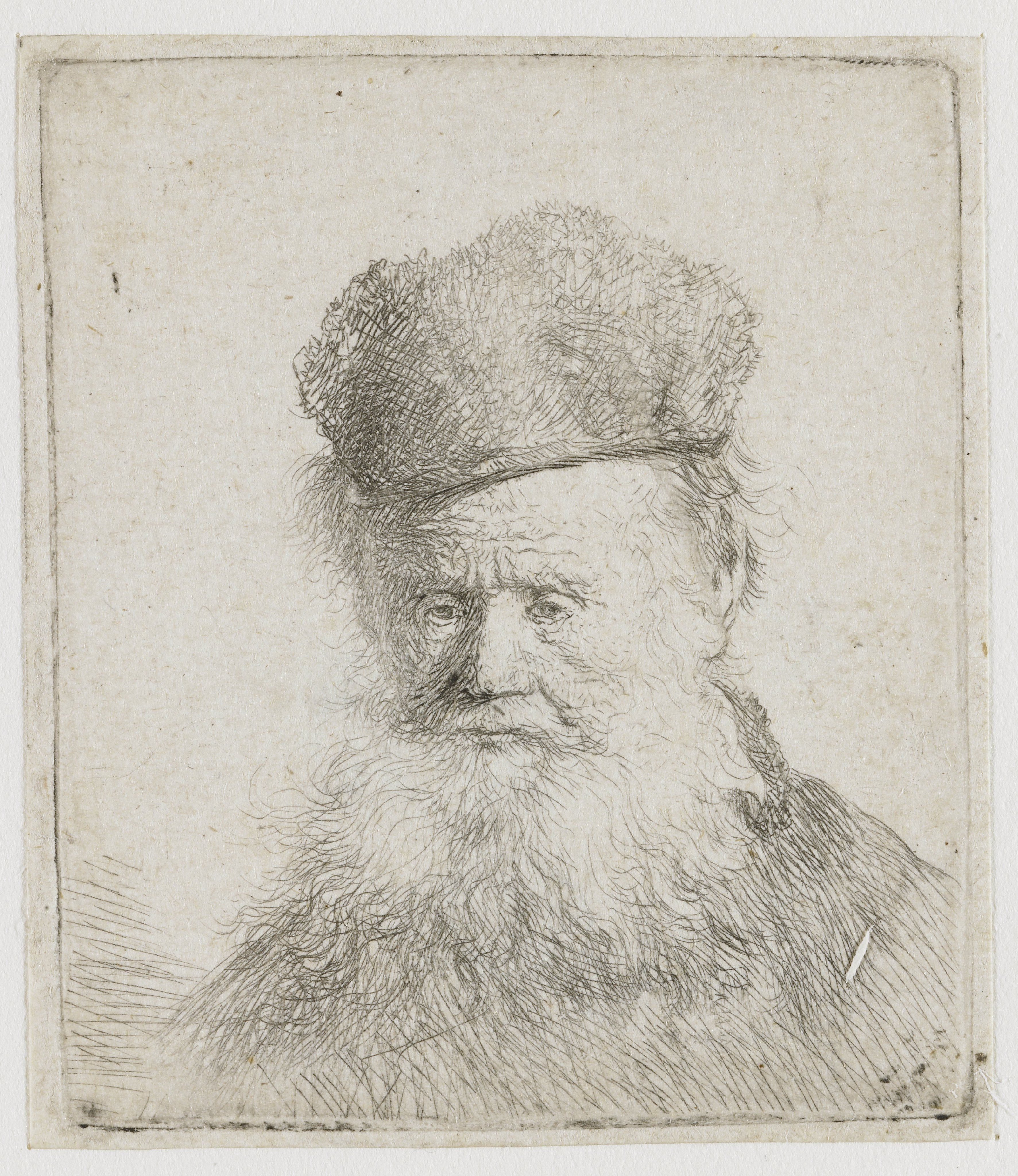 Bust of an old man with a fur cap and flowing beard, nearly full face