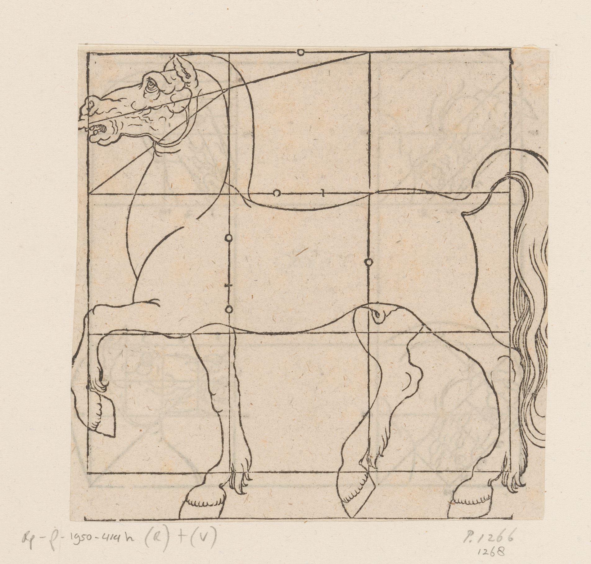 Model voor een paard met raster