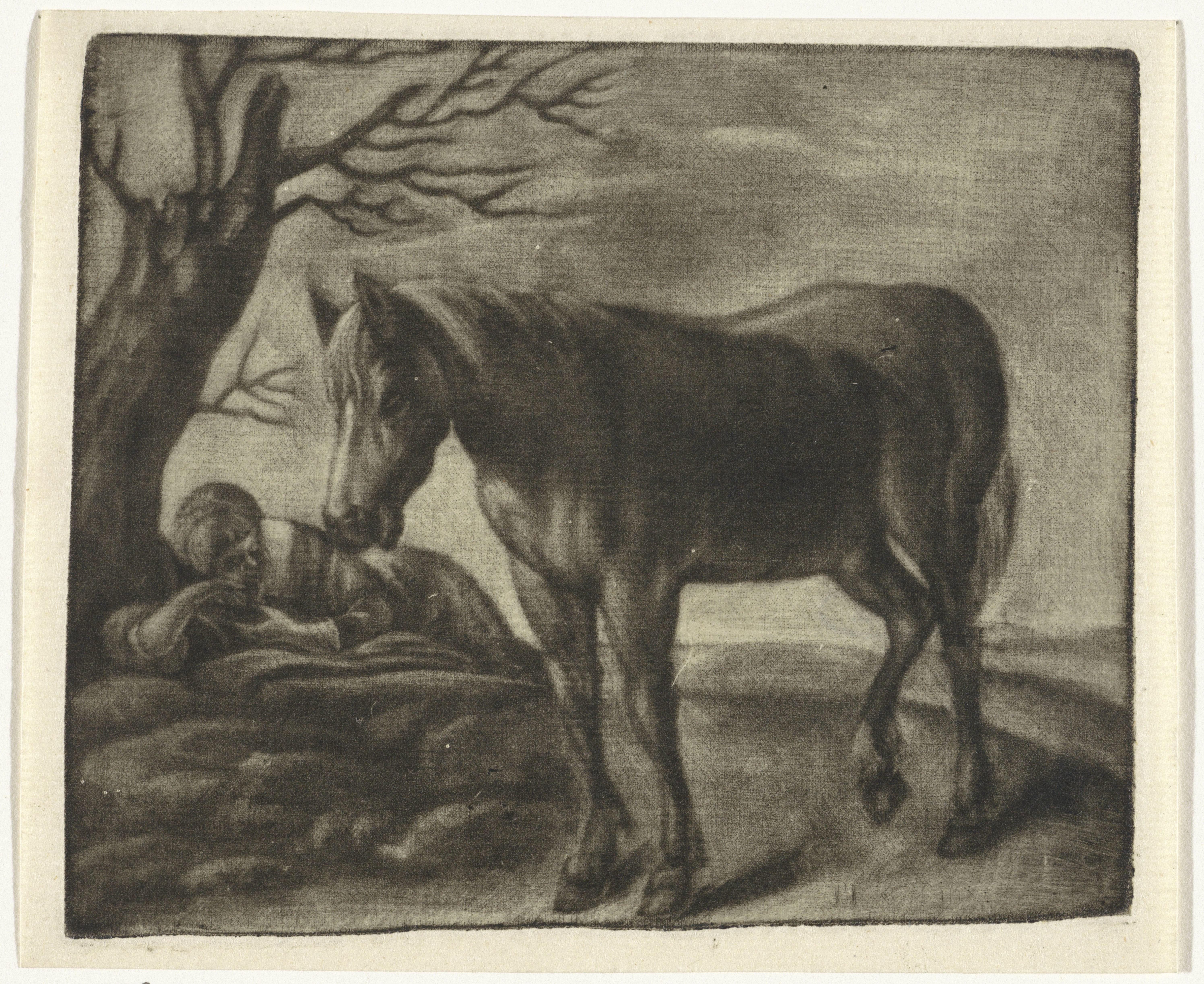 Een paard en een slapende man