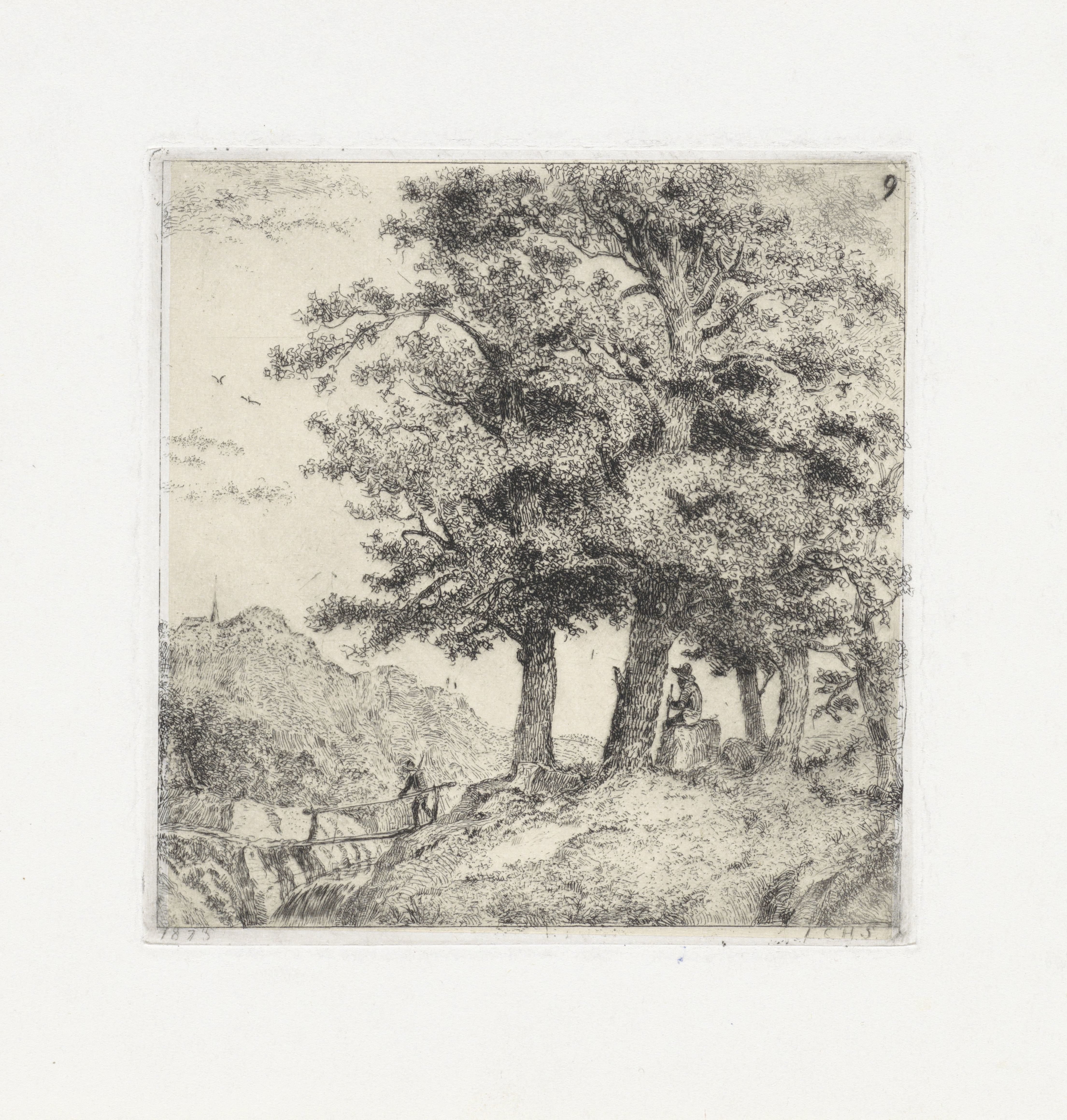 Landschap met beukenbos
