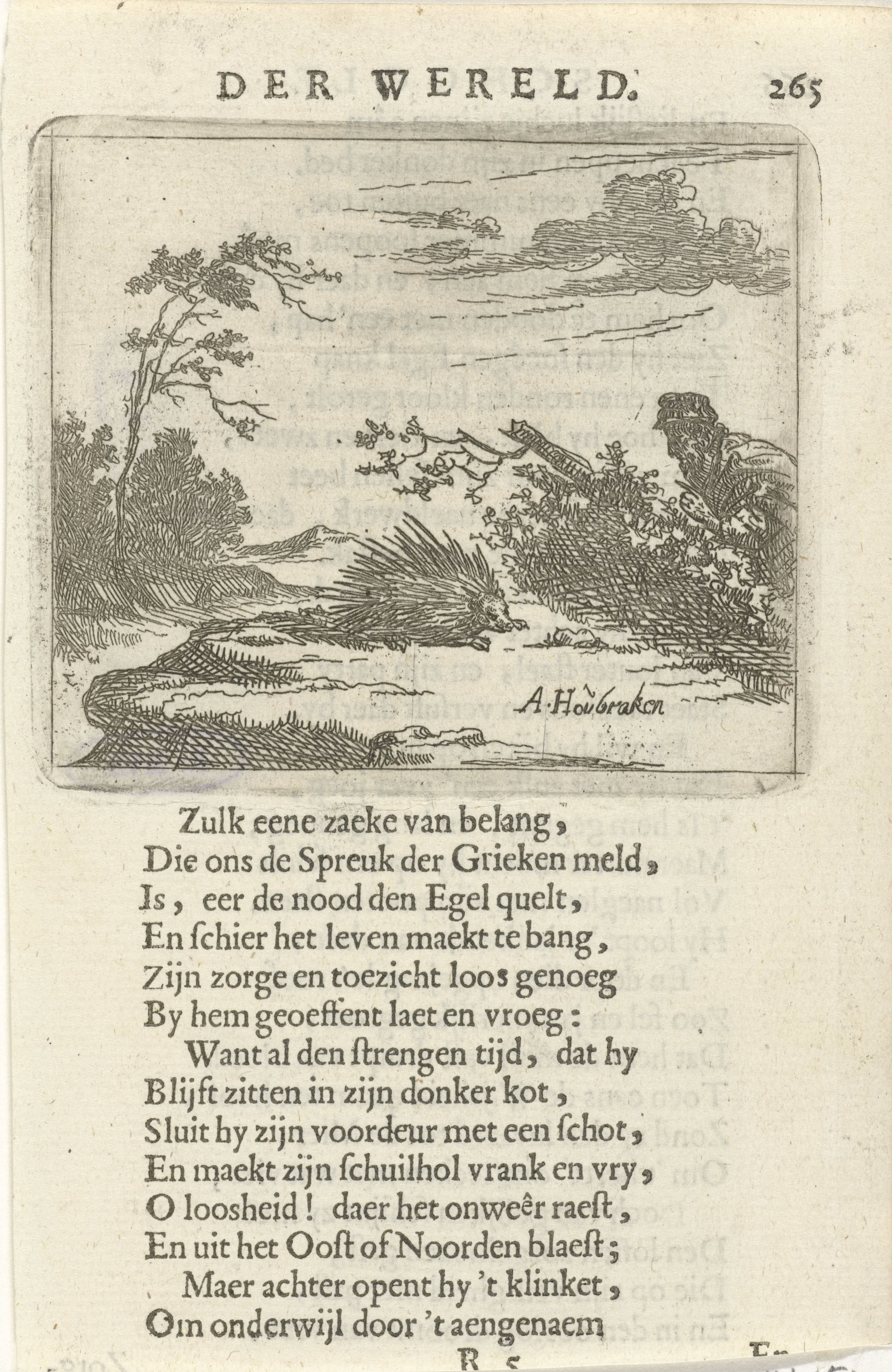 Man besluipt een stekelvarken