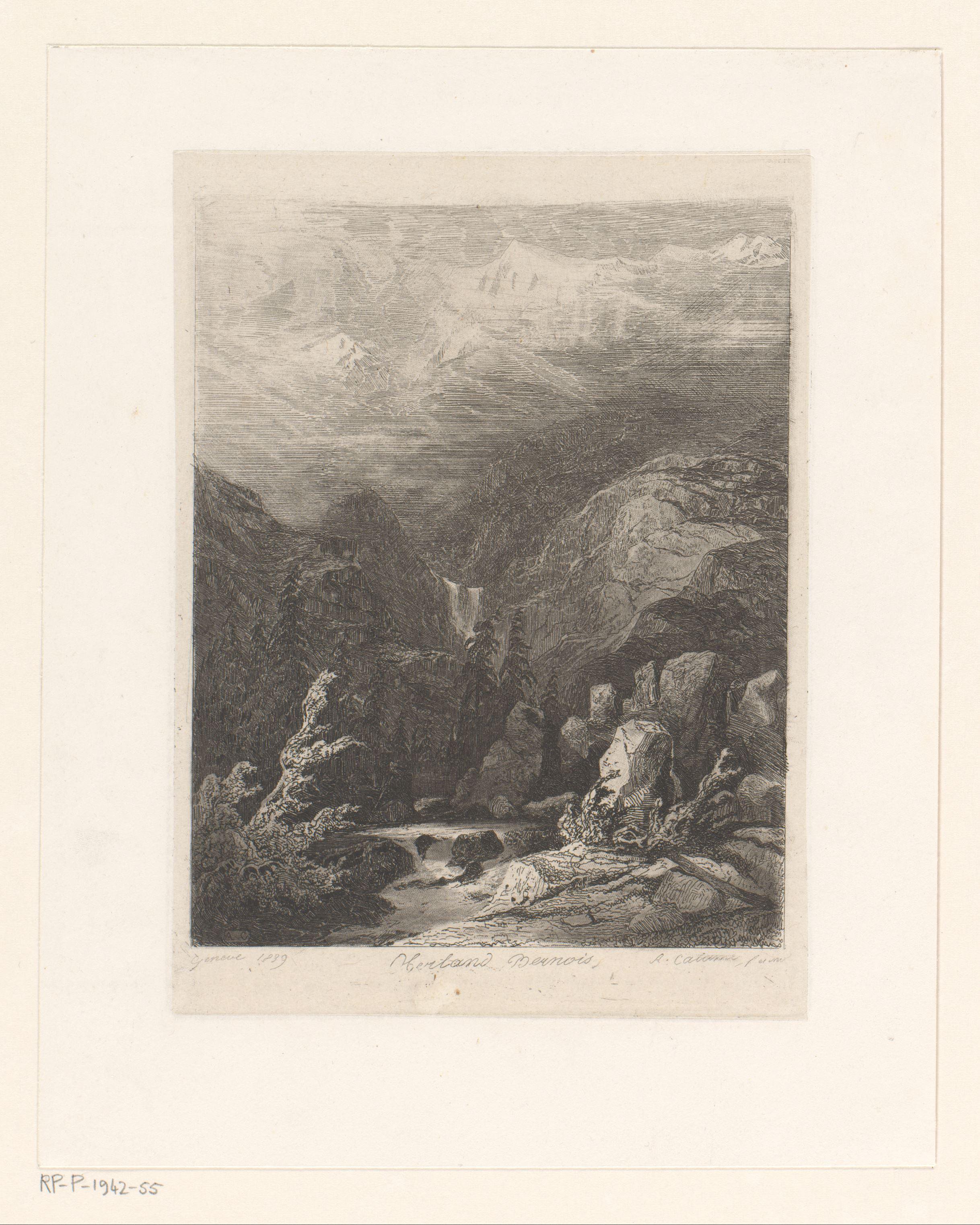 Berglandschap in Berner Oberland met dennenbomen bij een cascade