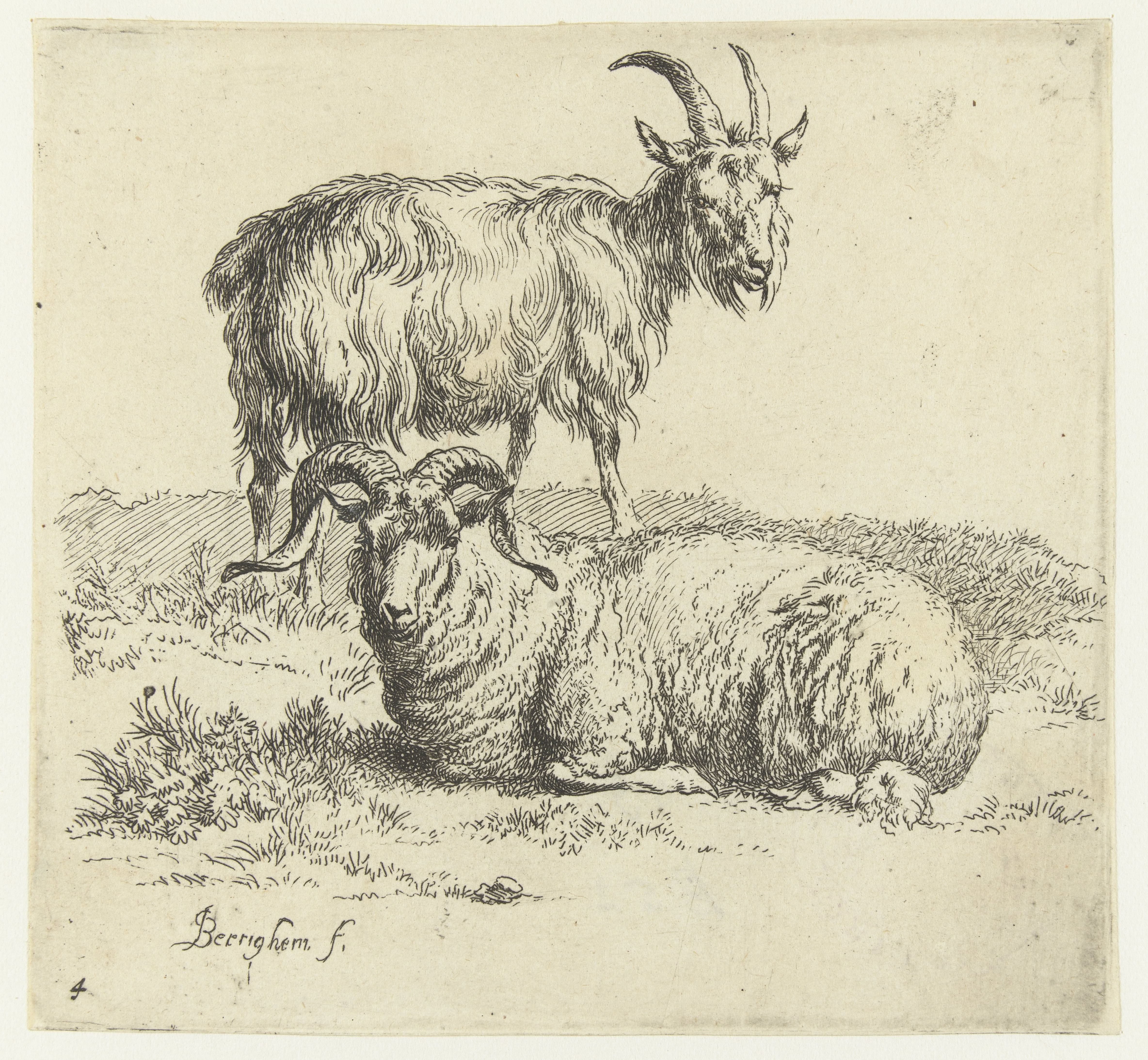 Ram en geit