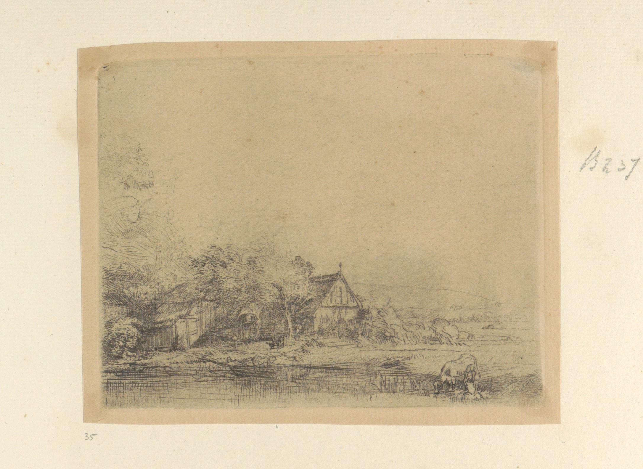Landschap met drinkende koe
