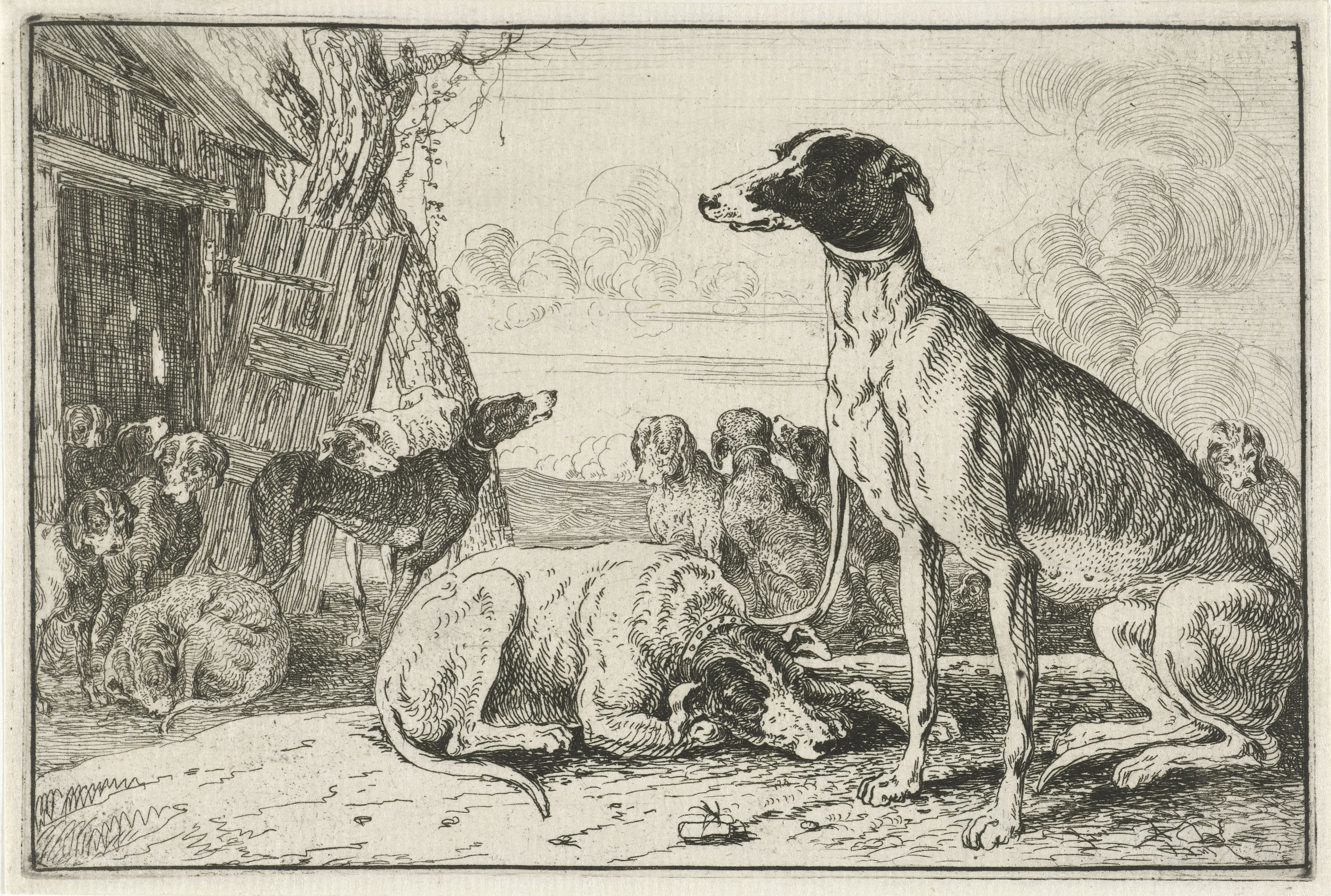 Hondenkennel