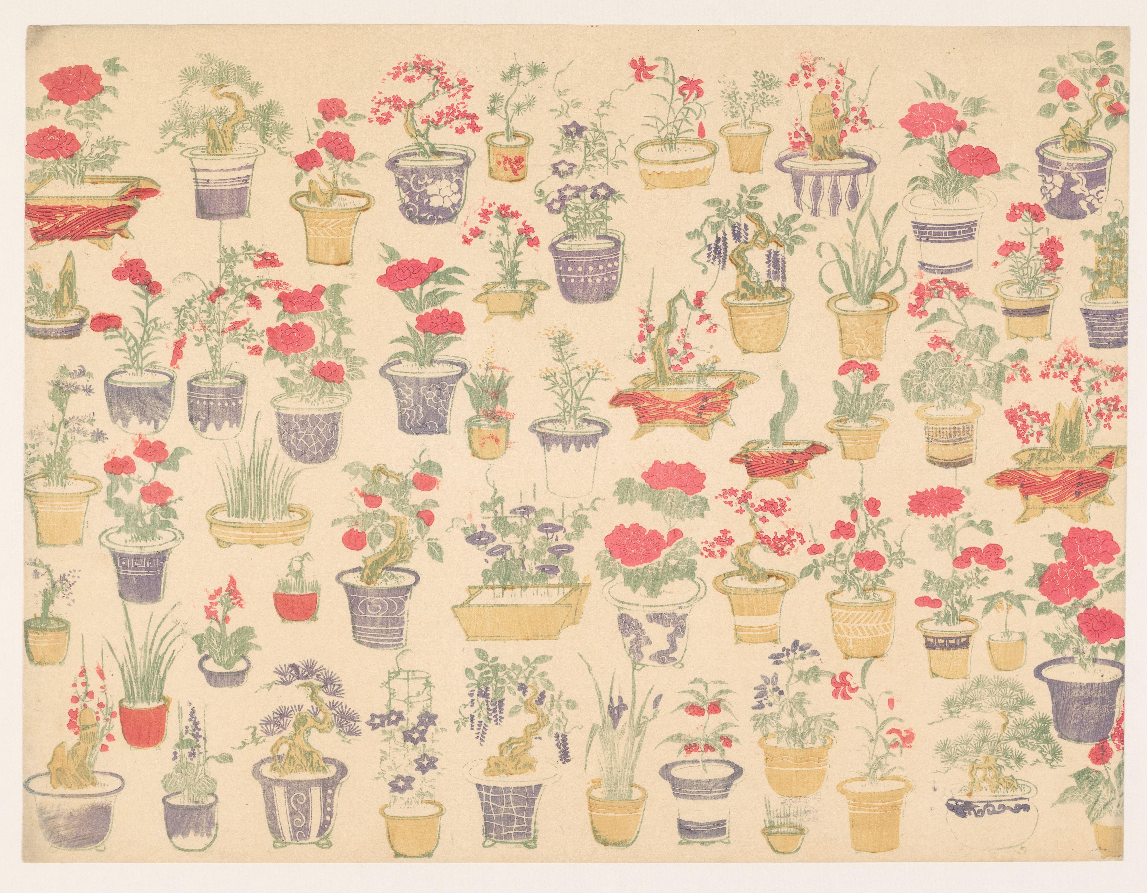 Patroon van potten met verschillende planten