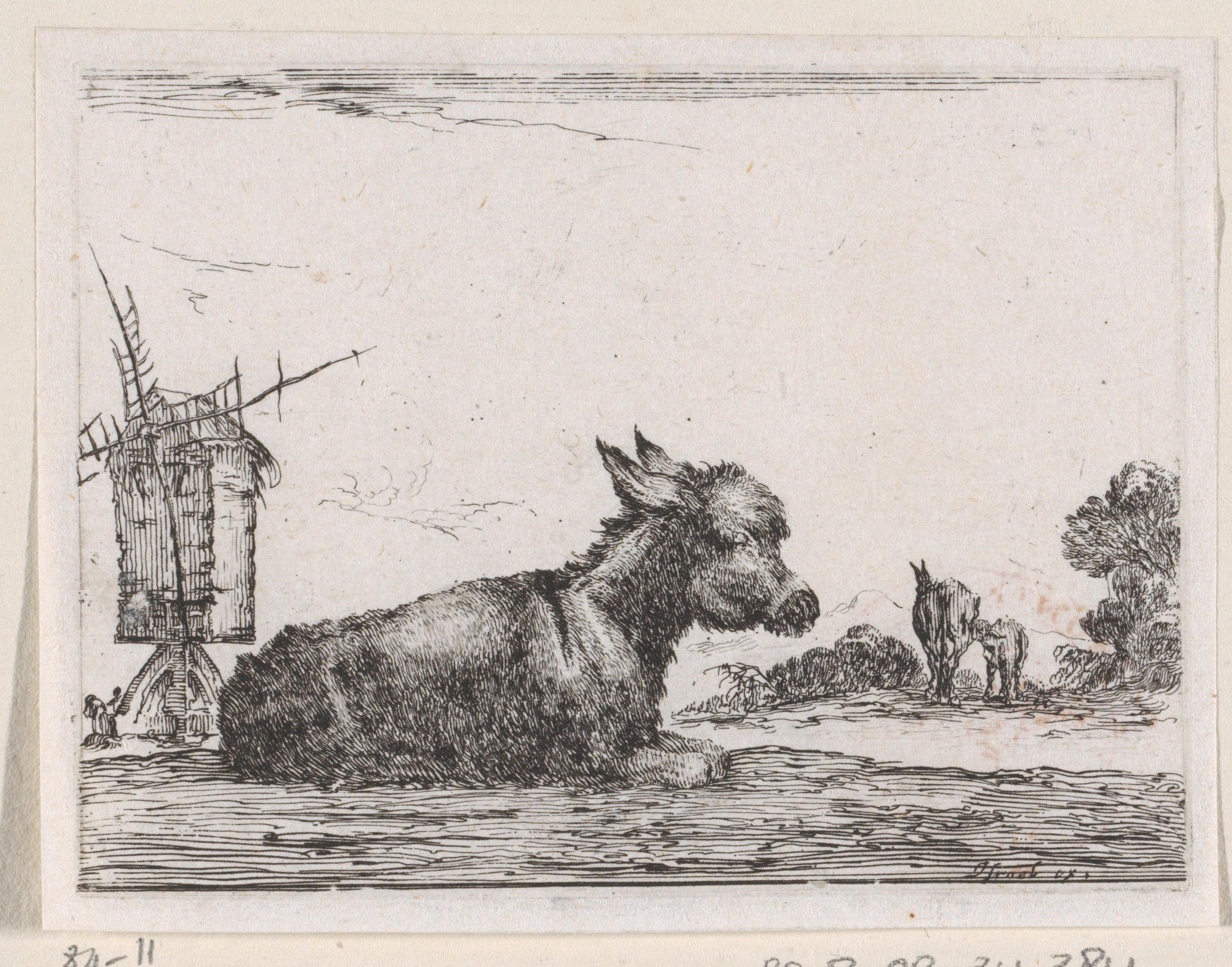 Ezel in een landschap met molen