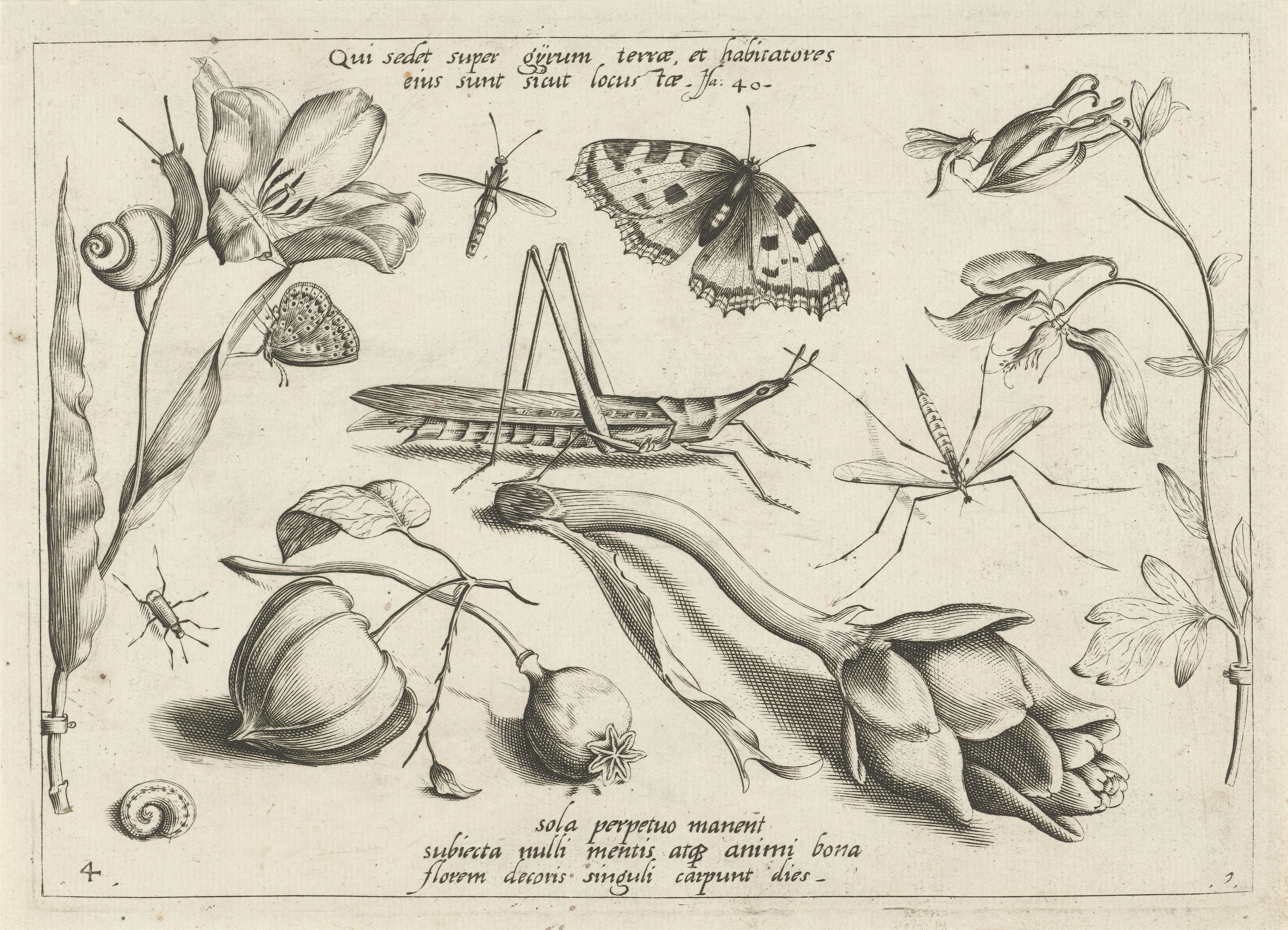 Dieren en planten rond een sprinkhaan en een artishock