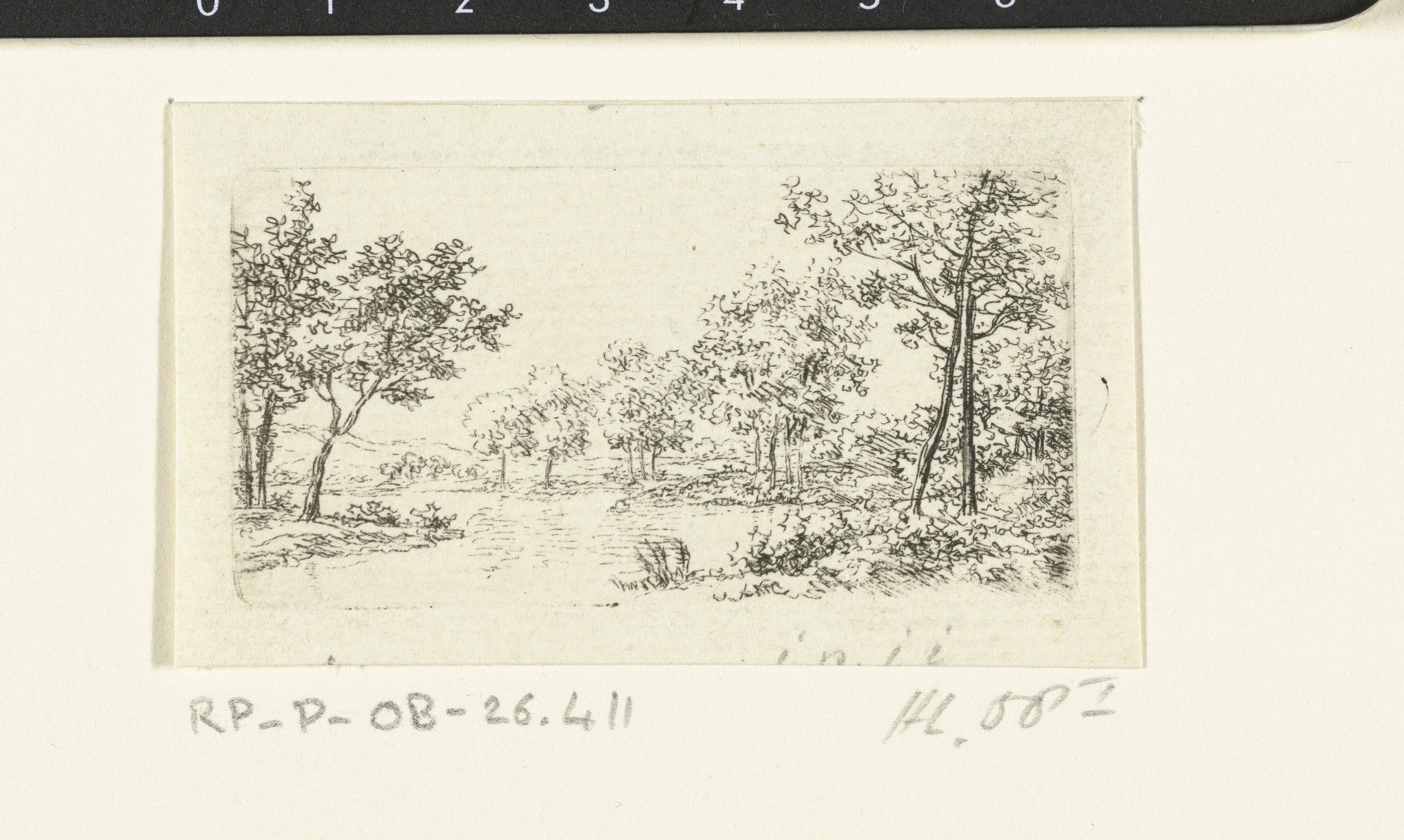 Landschap met rivier en bomen