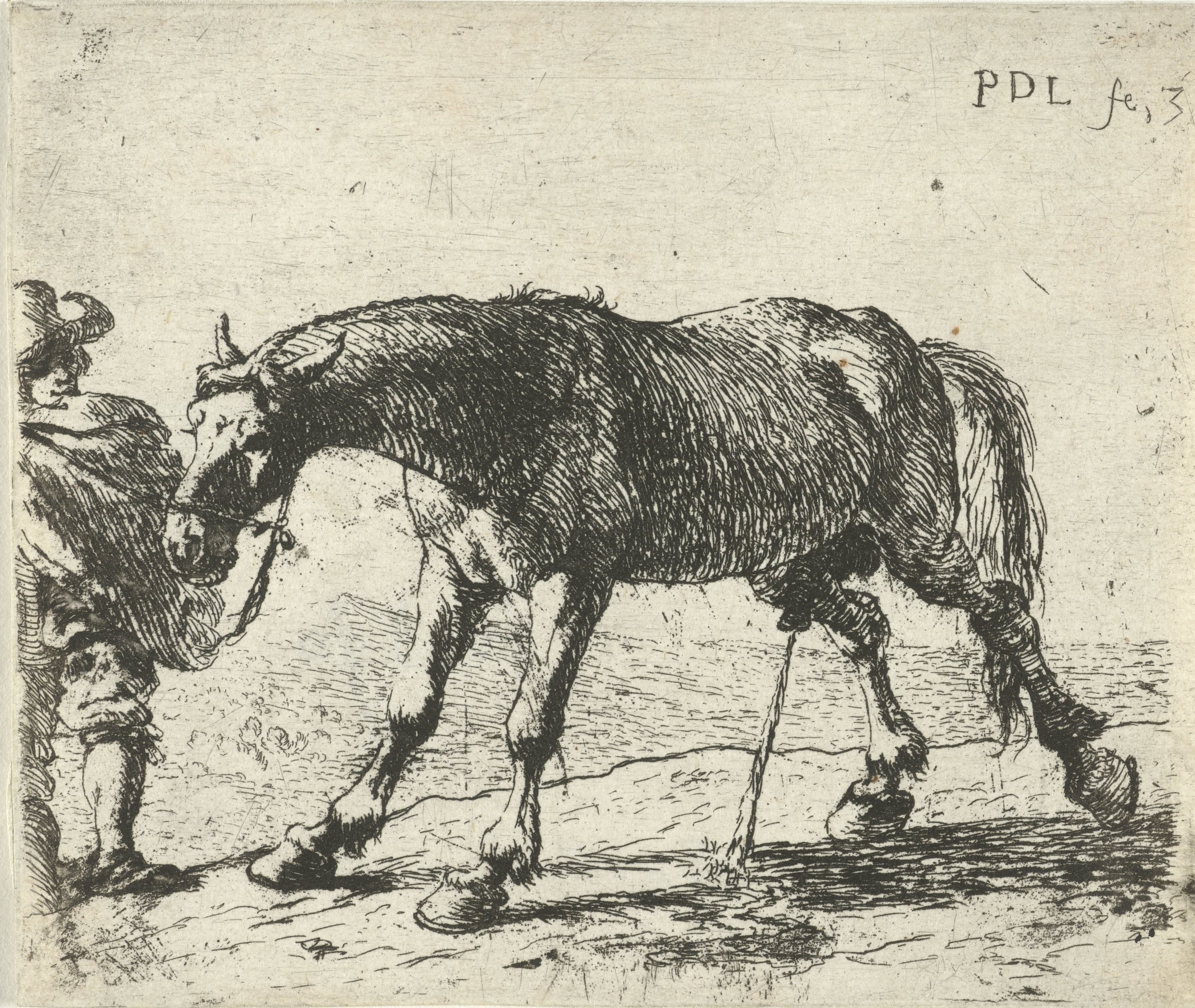 Pissend paard