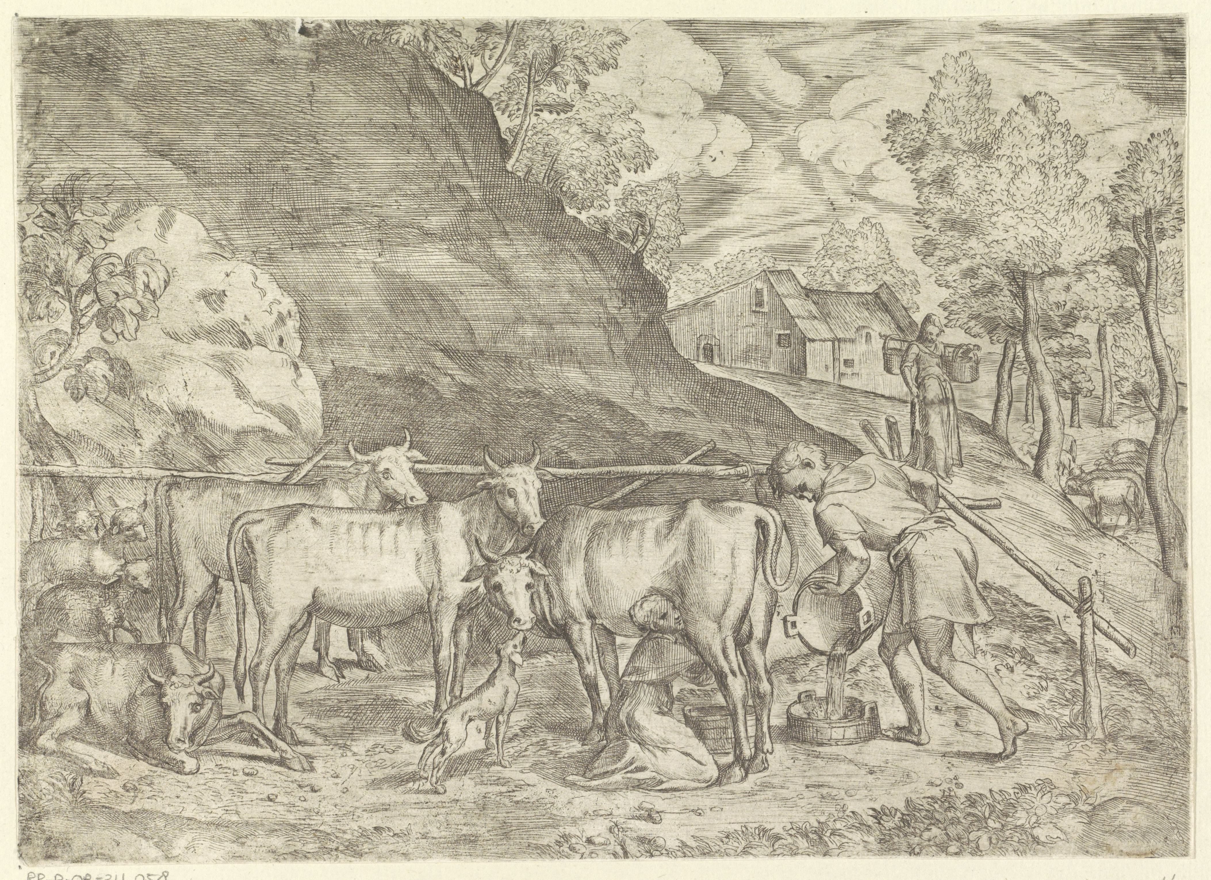 Landschap met melkkoe