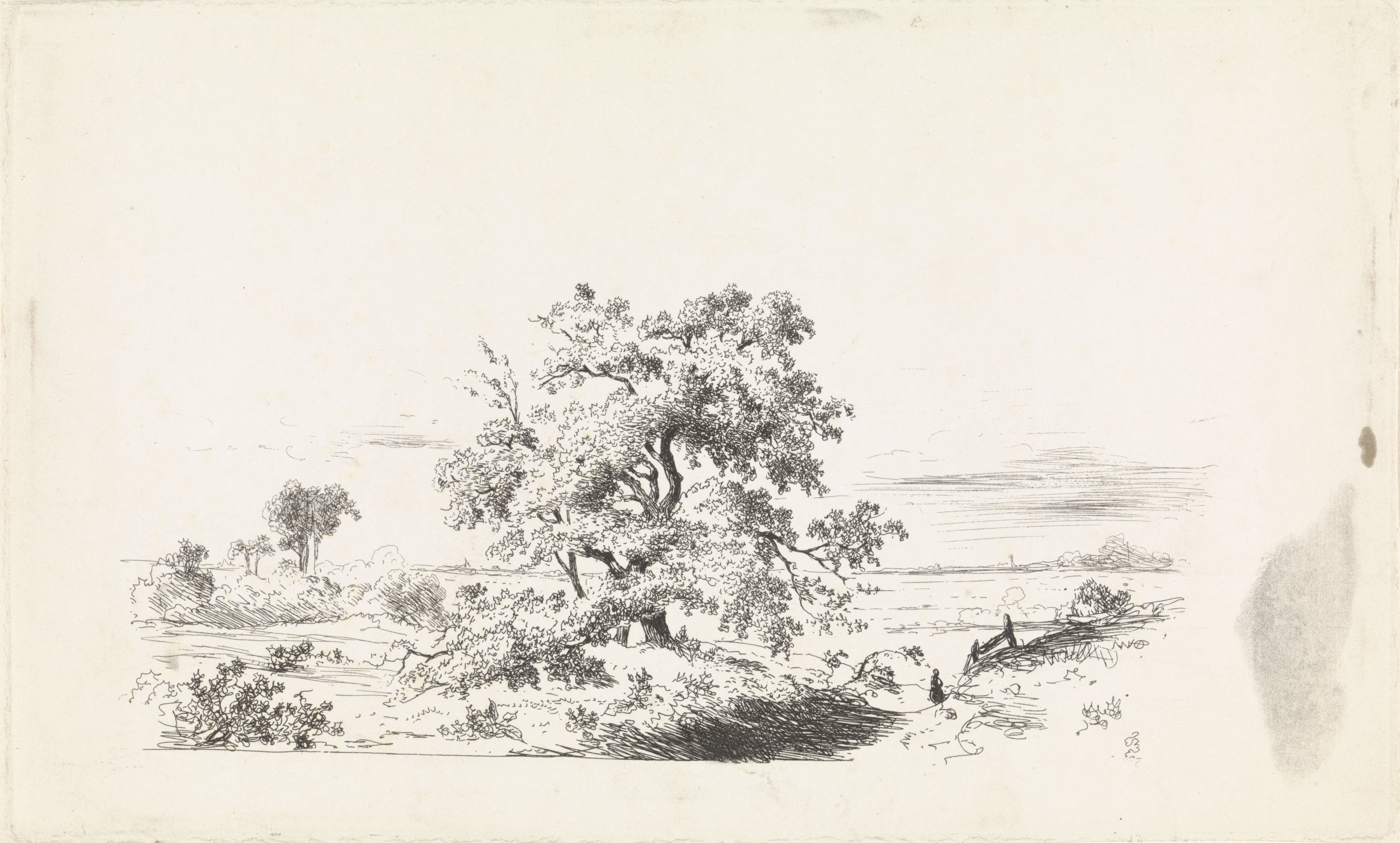 Landschap met grote boom