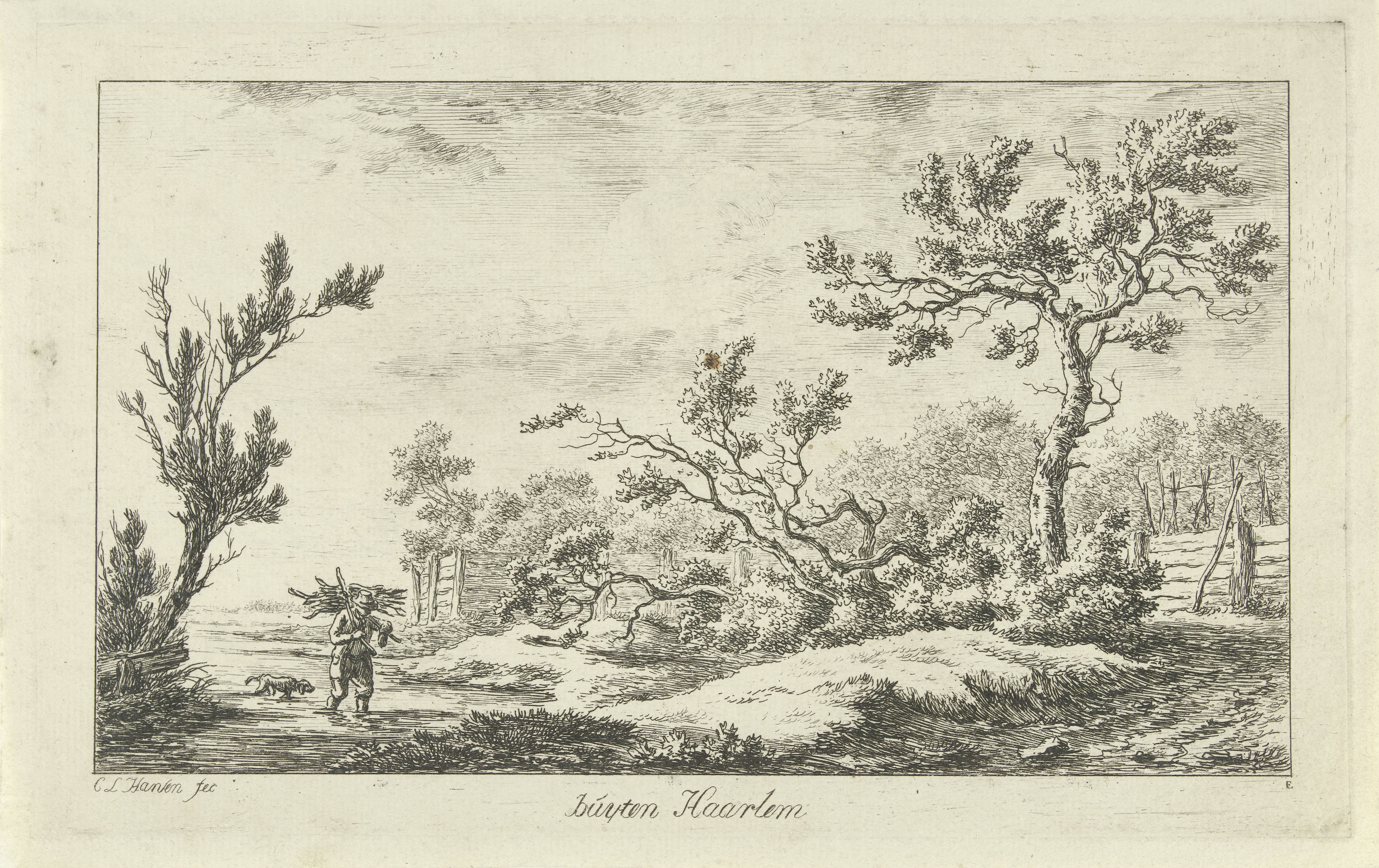 Houtsprokkelaar