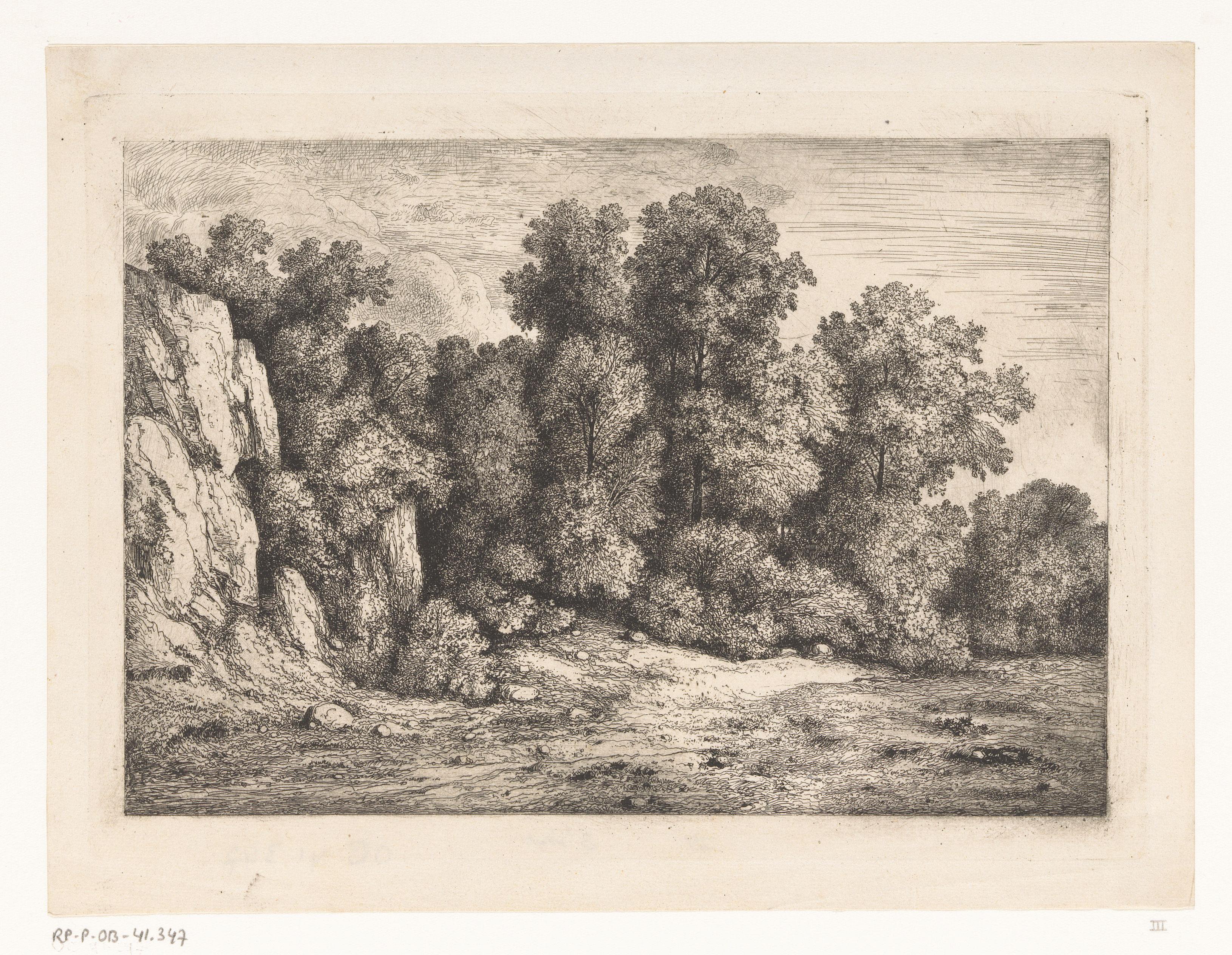 Bomen bij een rotswand