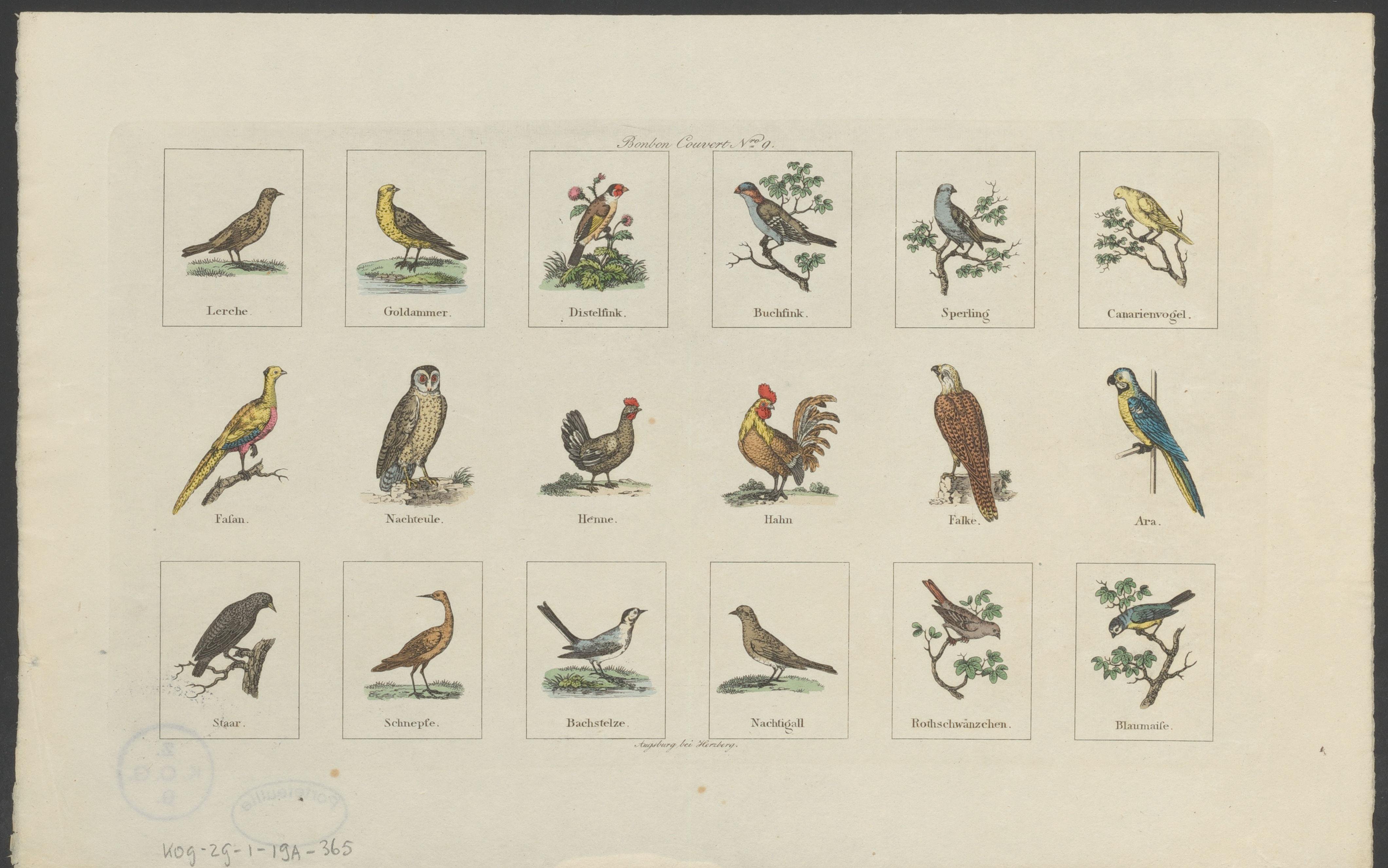 Dieren en voorwerpen met vers